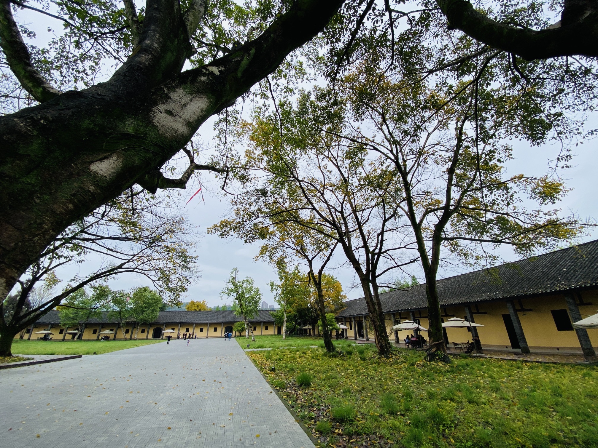 广阳岛旅行图片 2