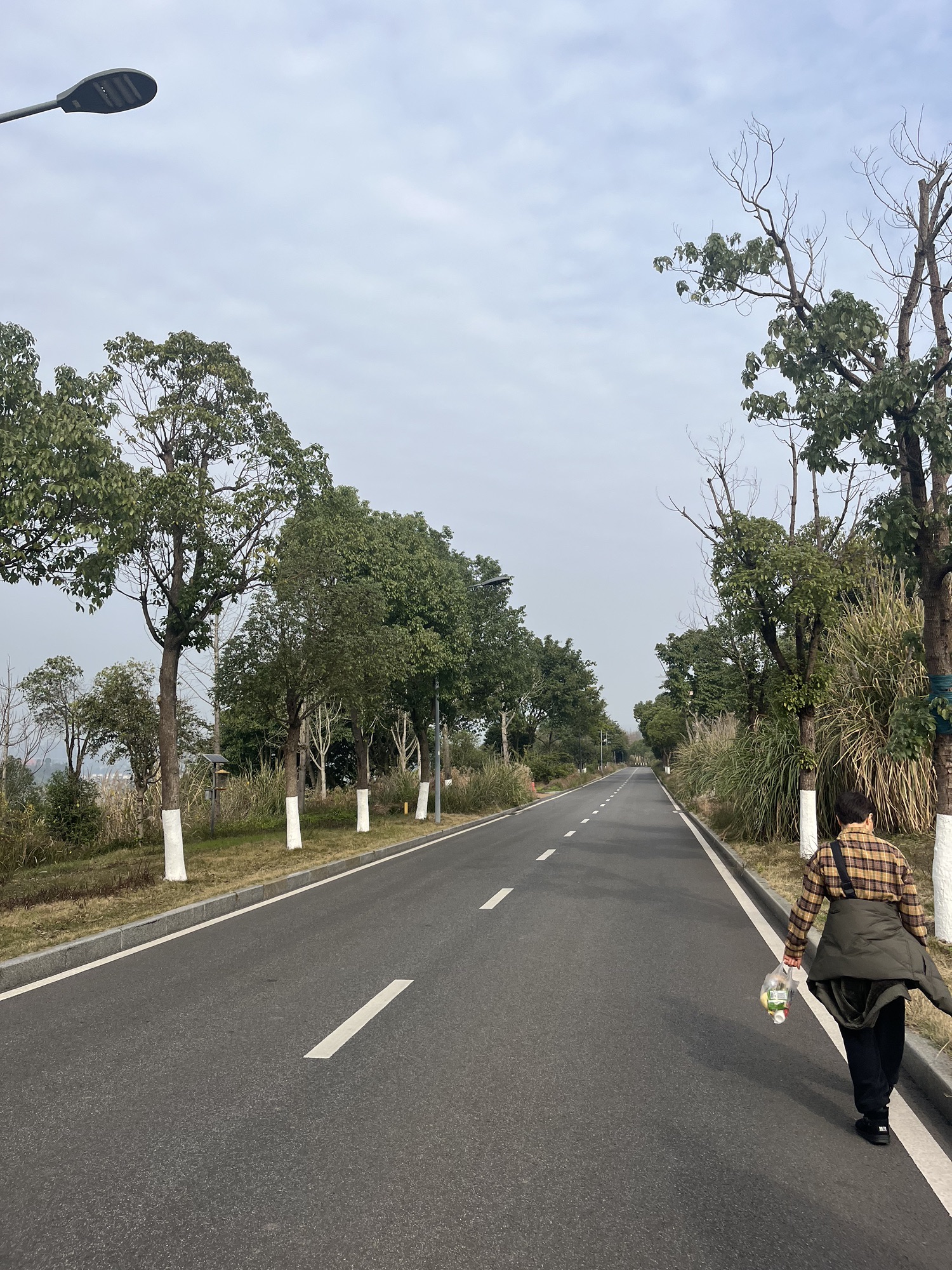 广阳岛旅行图片 2