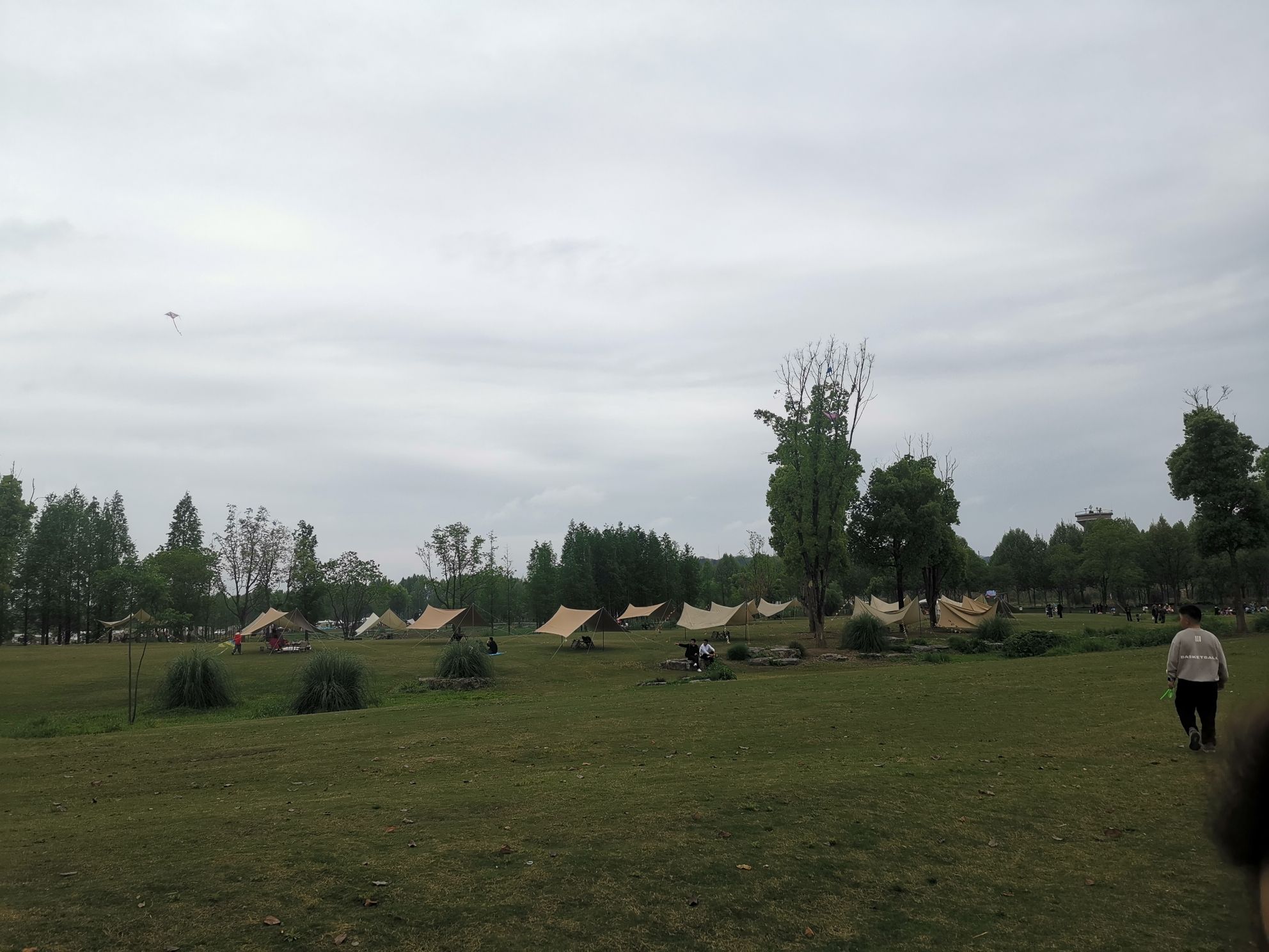 广阳岛旅行图片 2