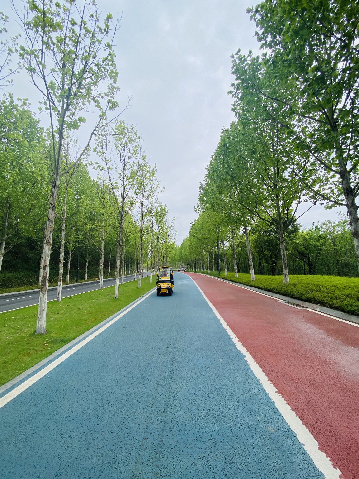 广阳岛旅行图片 1