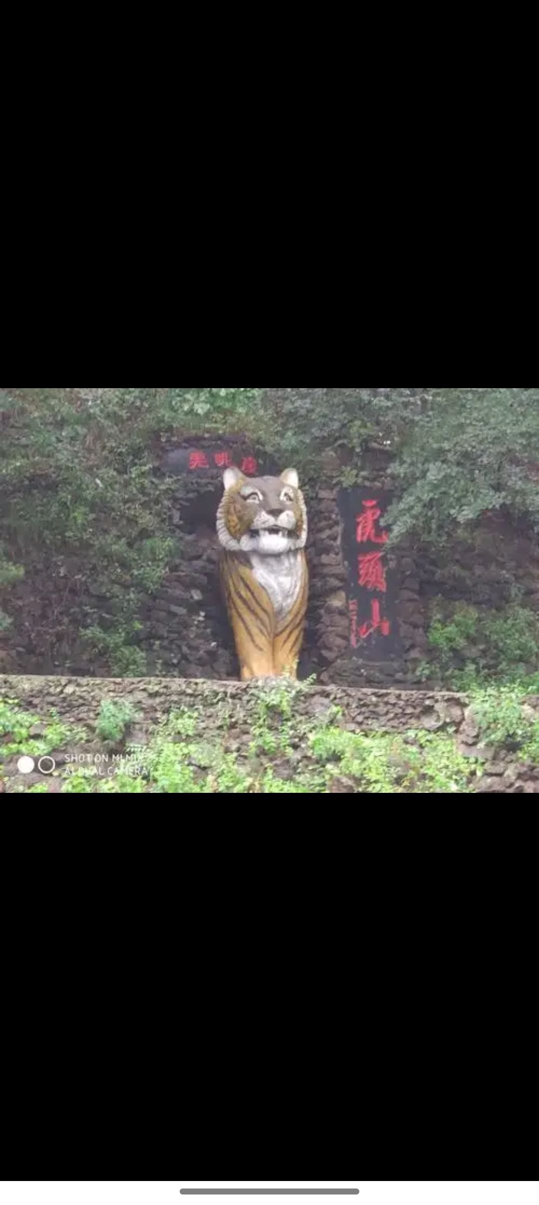 黑龙江省虎林市虎头旅游景区旅行图片 3