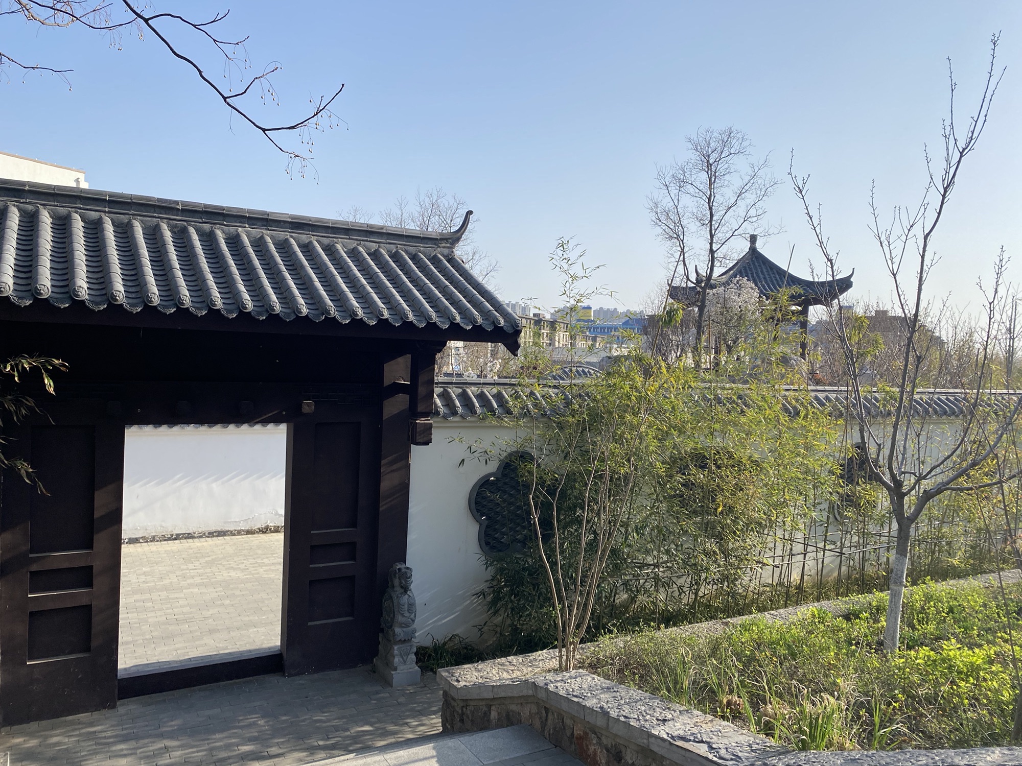 辛山山体公园旅行图片 2