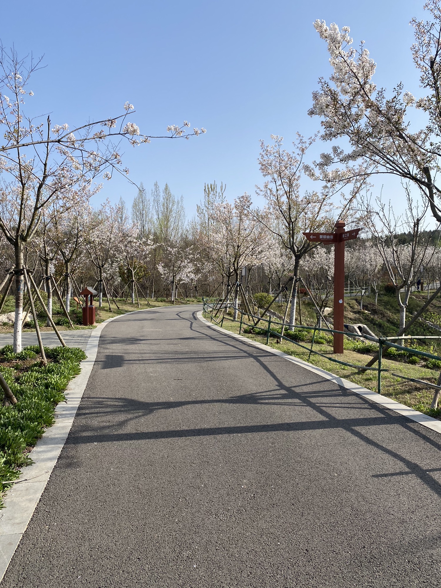 辛山山体公园旅行图片 3