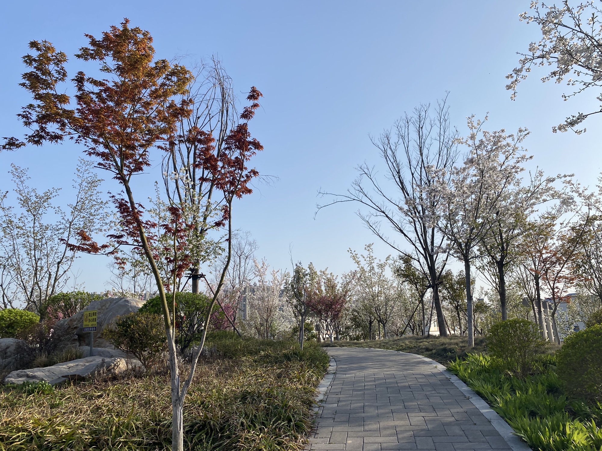辛山山体公园旅行图片 1
