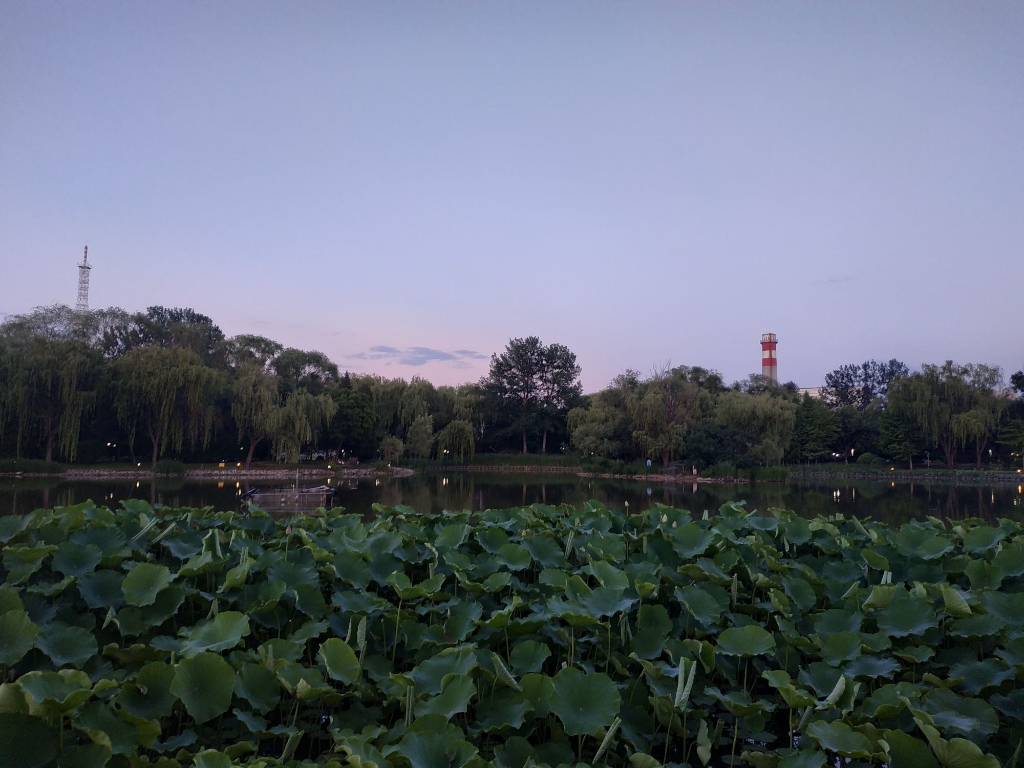 场地封面-顺义公园冰场(暂停营业)