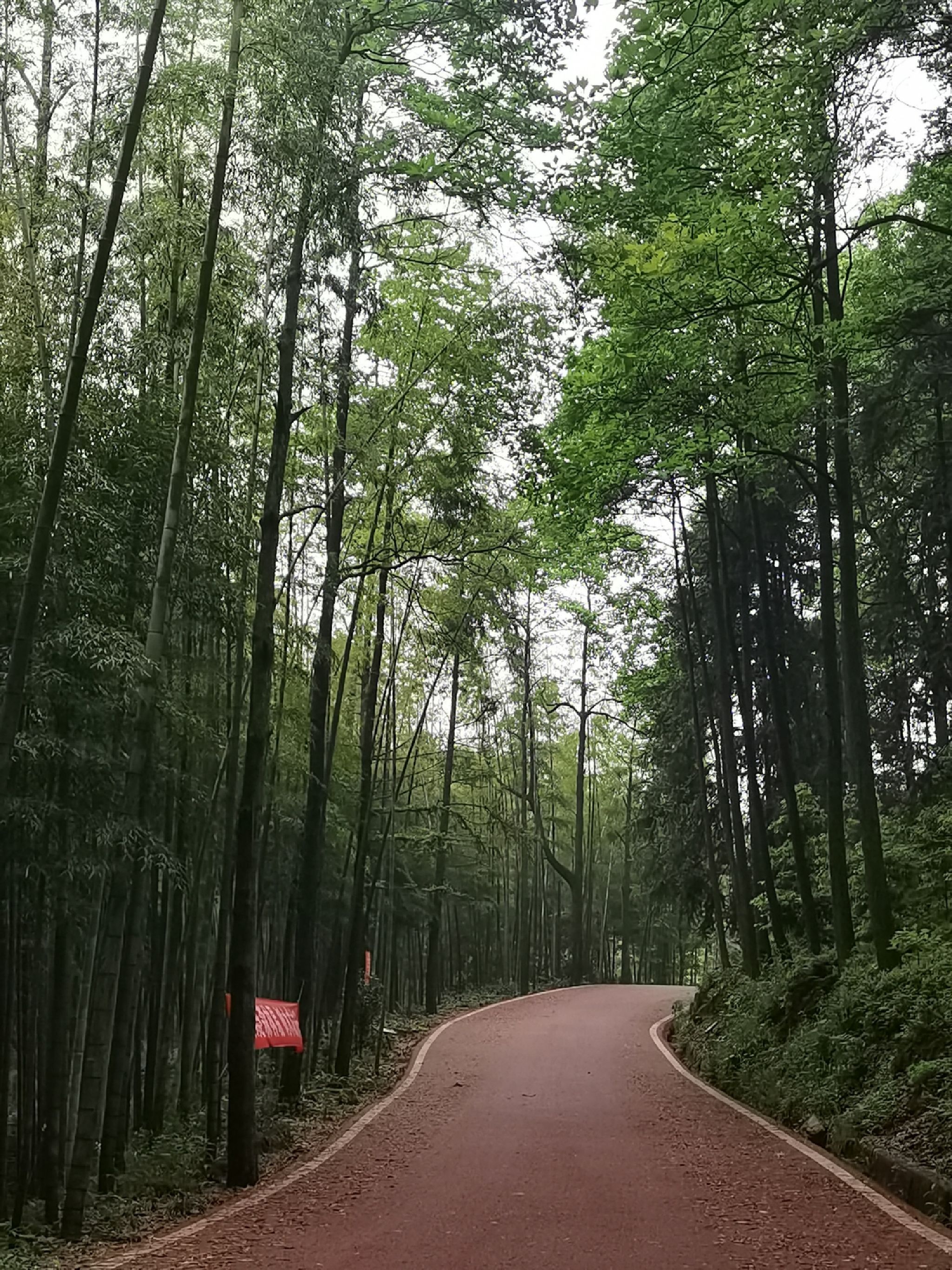 重庆市南天门森林公园旅行图片 3