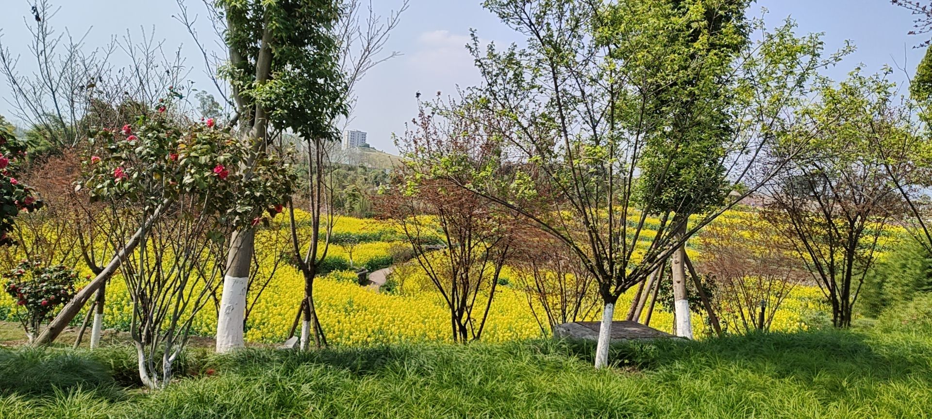 见水公园旅行图片 3