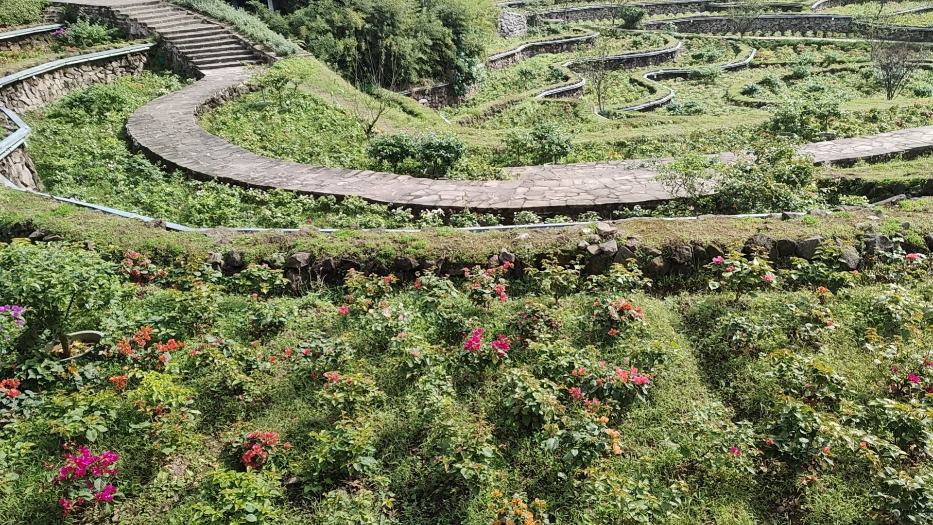 见水公园旅行图片 2