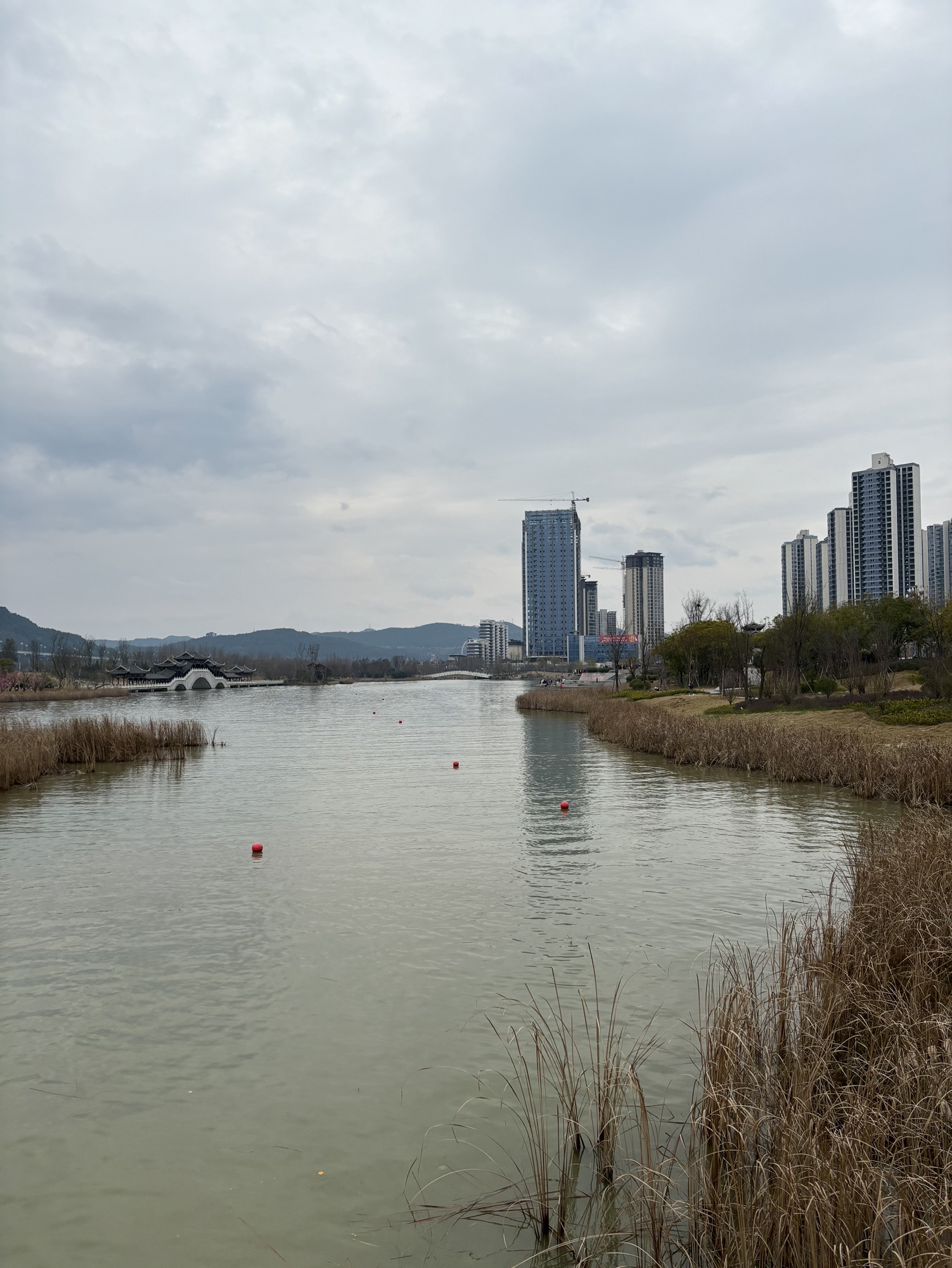 禹迹岛旅行图片 3