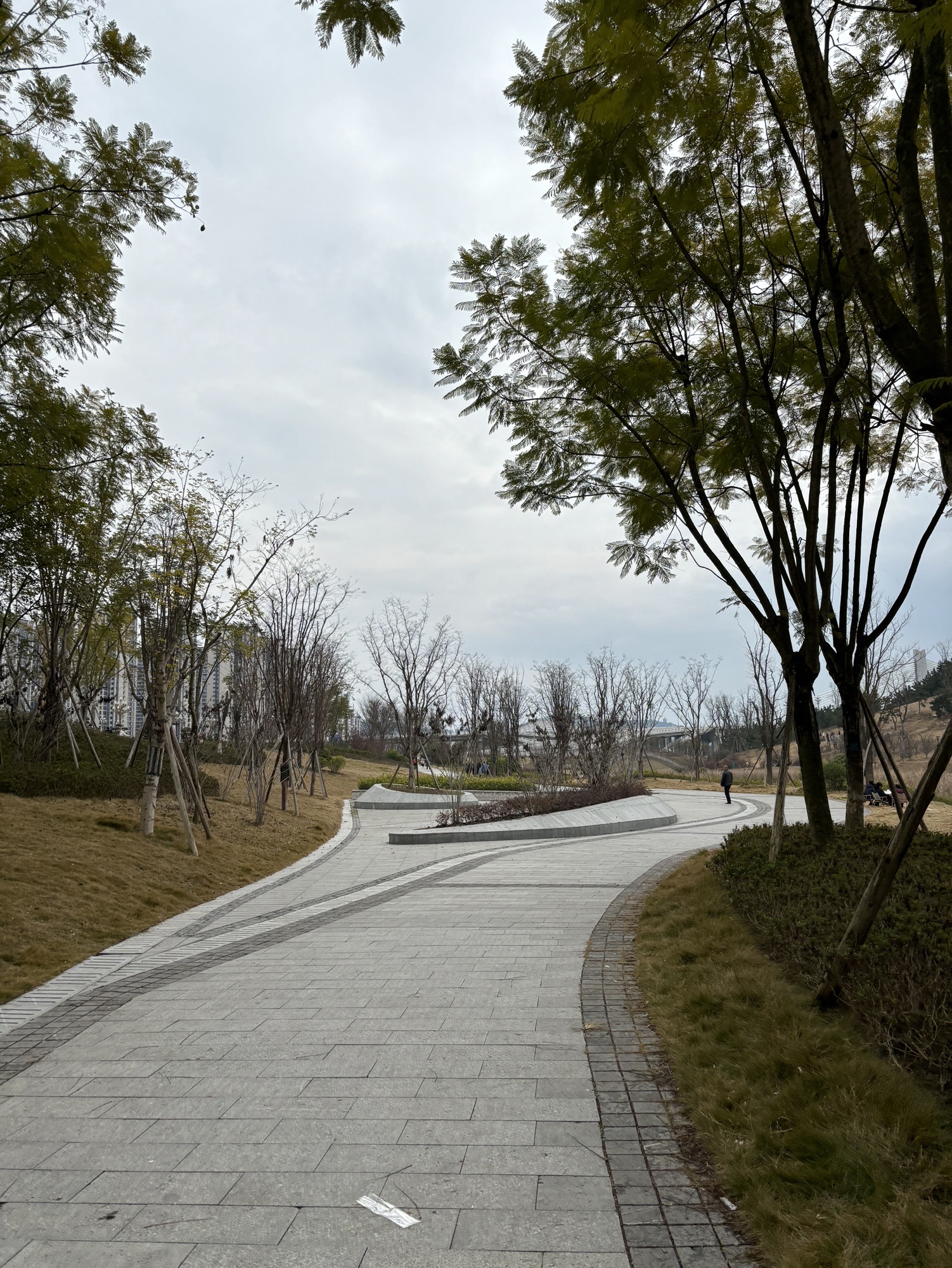 禹迹岛旅行图片 2