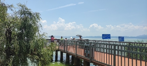 环湖东路捞鱼河湿地公园-观景台