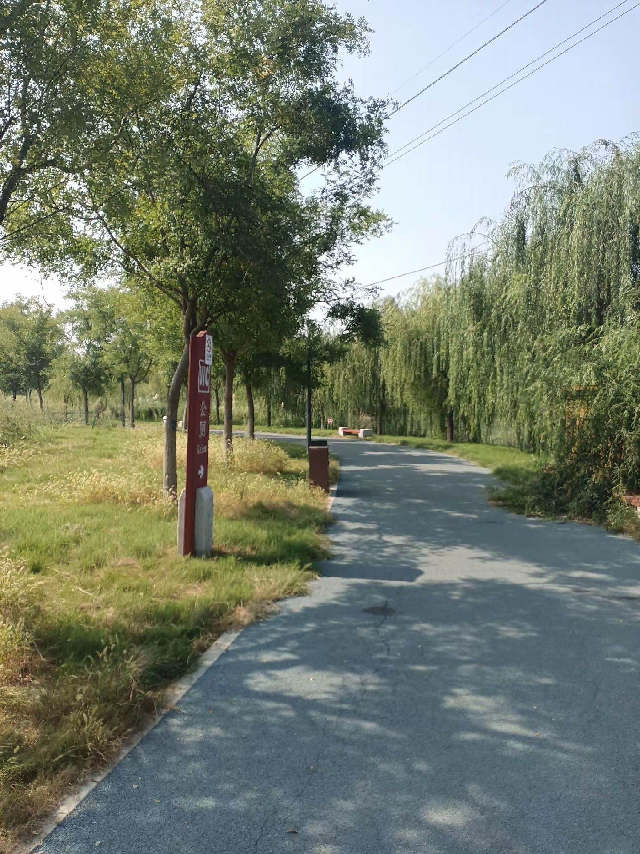 苏蔺体育公园旅行图片 1