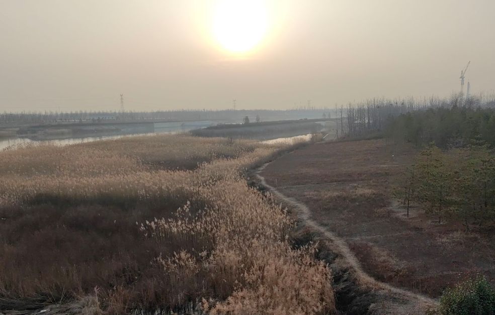 苏蔺体育公园旅行图片 1