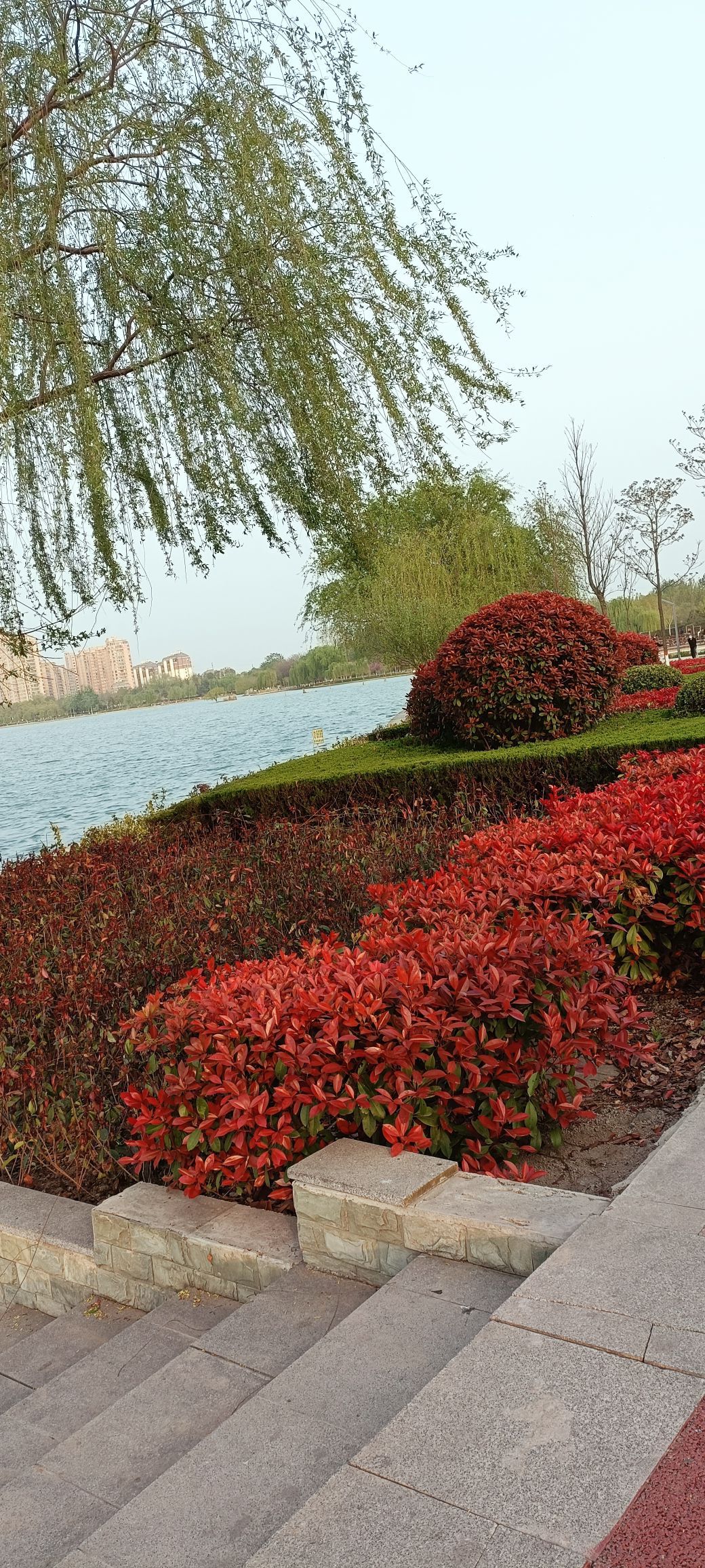苏蔺体育公园旅行图片 2