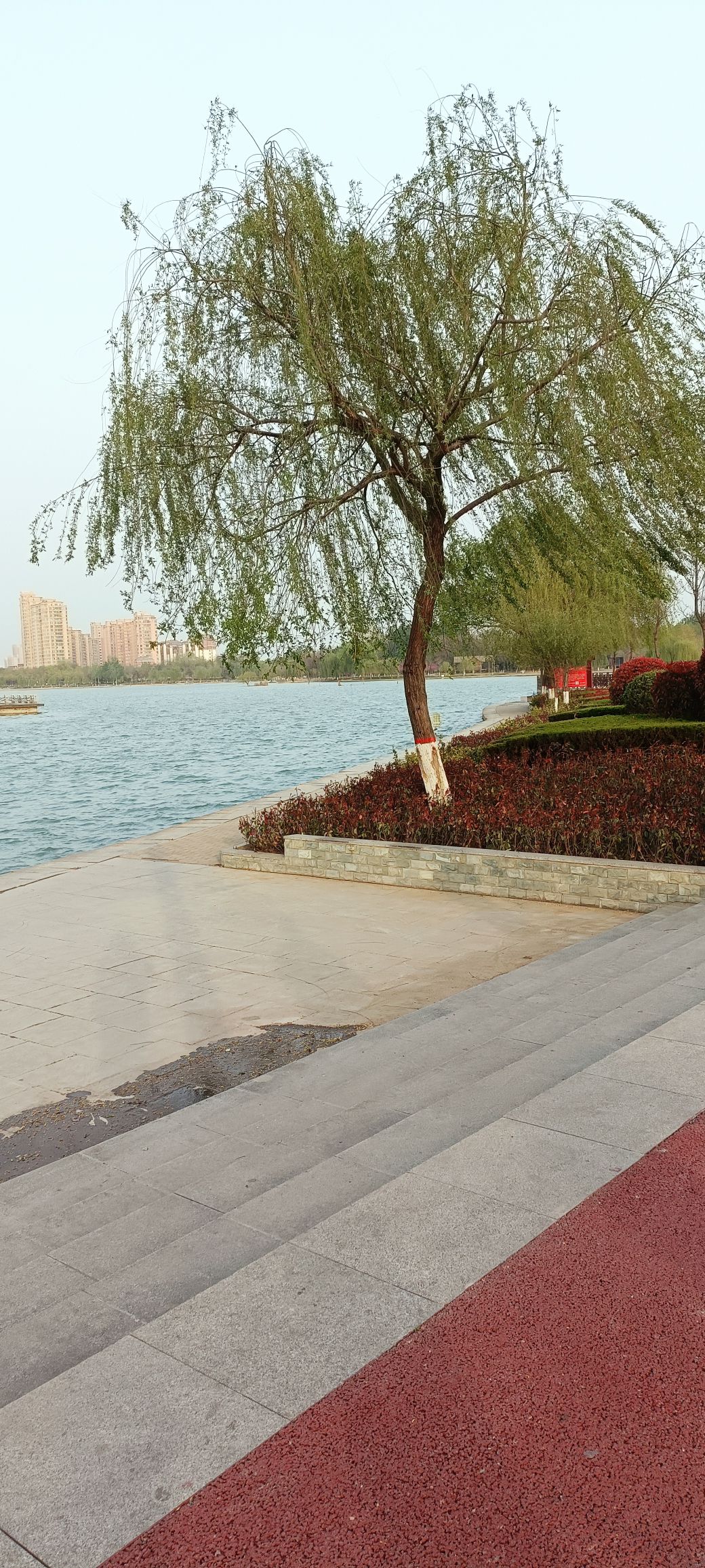 苏蔺体育公园旅行图片 3