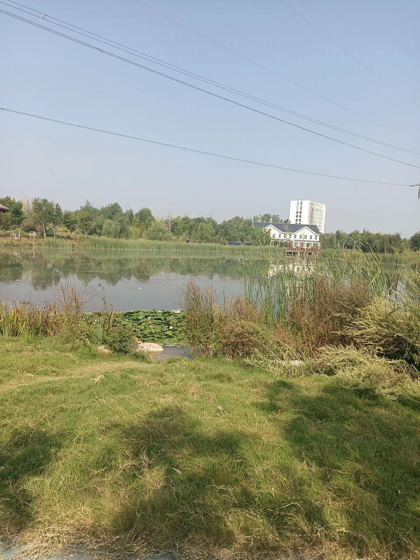 苏蔺体育公园旅行图片 2