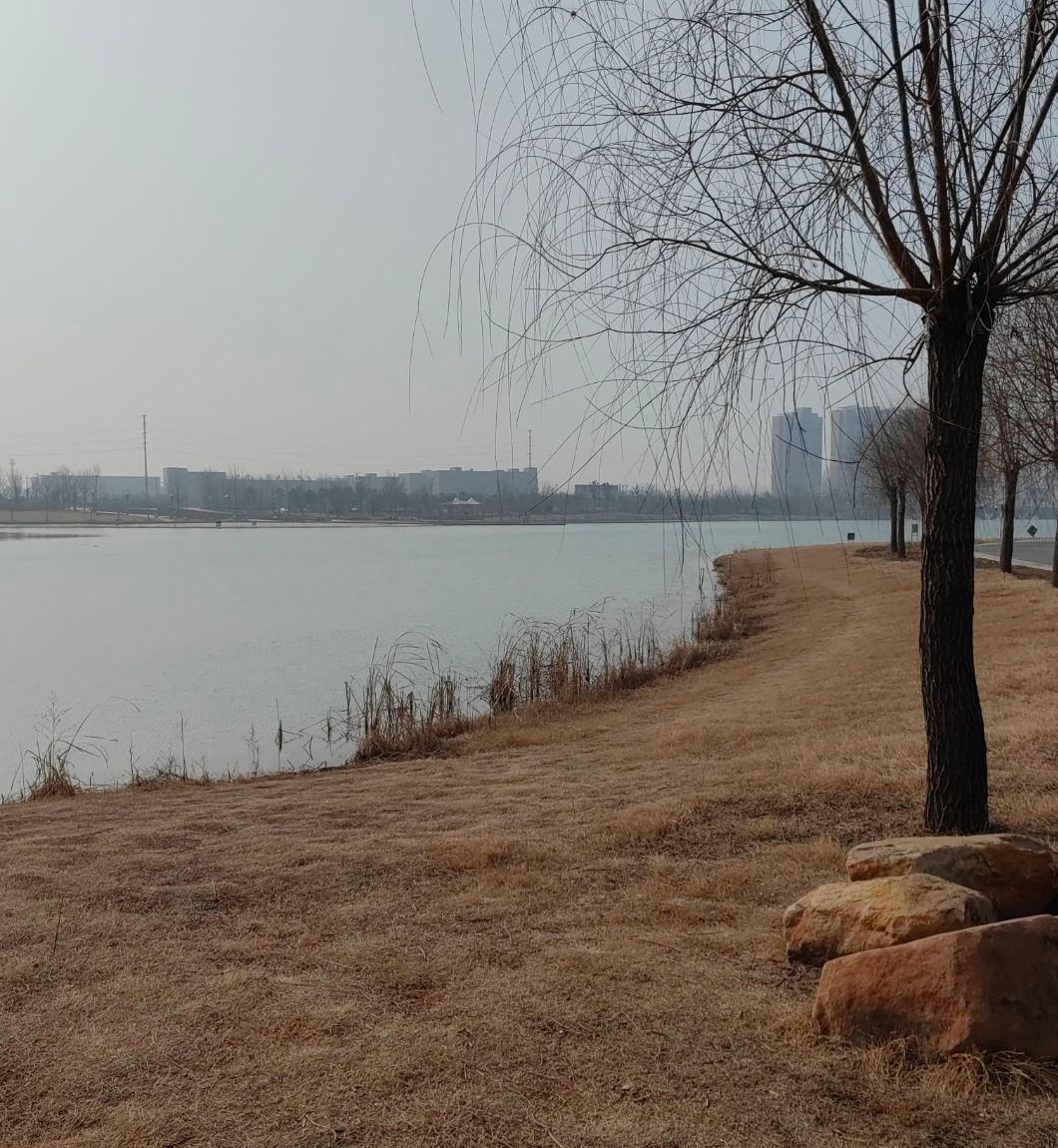 苏蔺体育公园旅行图片 2
