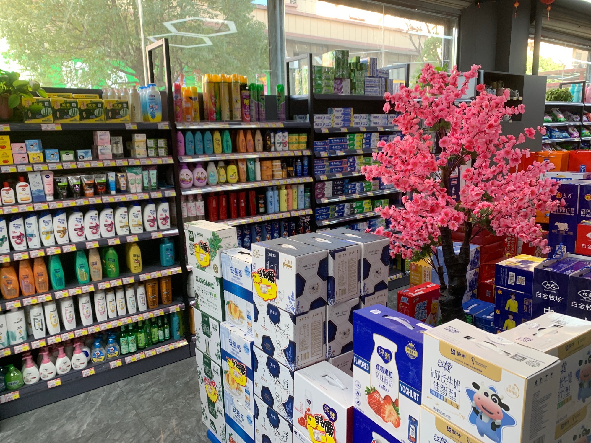 诚墨生鲜超市(淮畔明珠店)