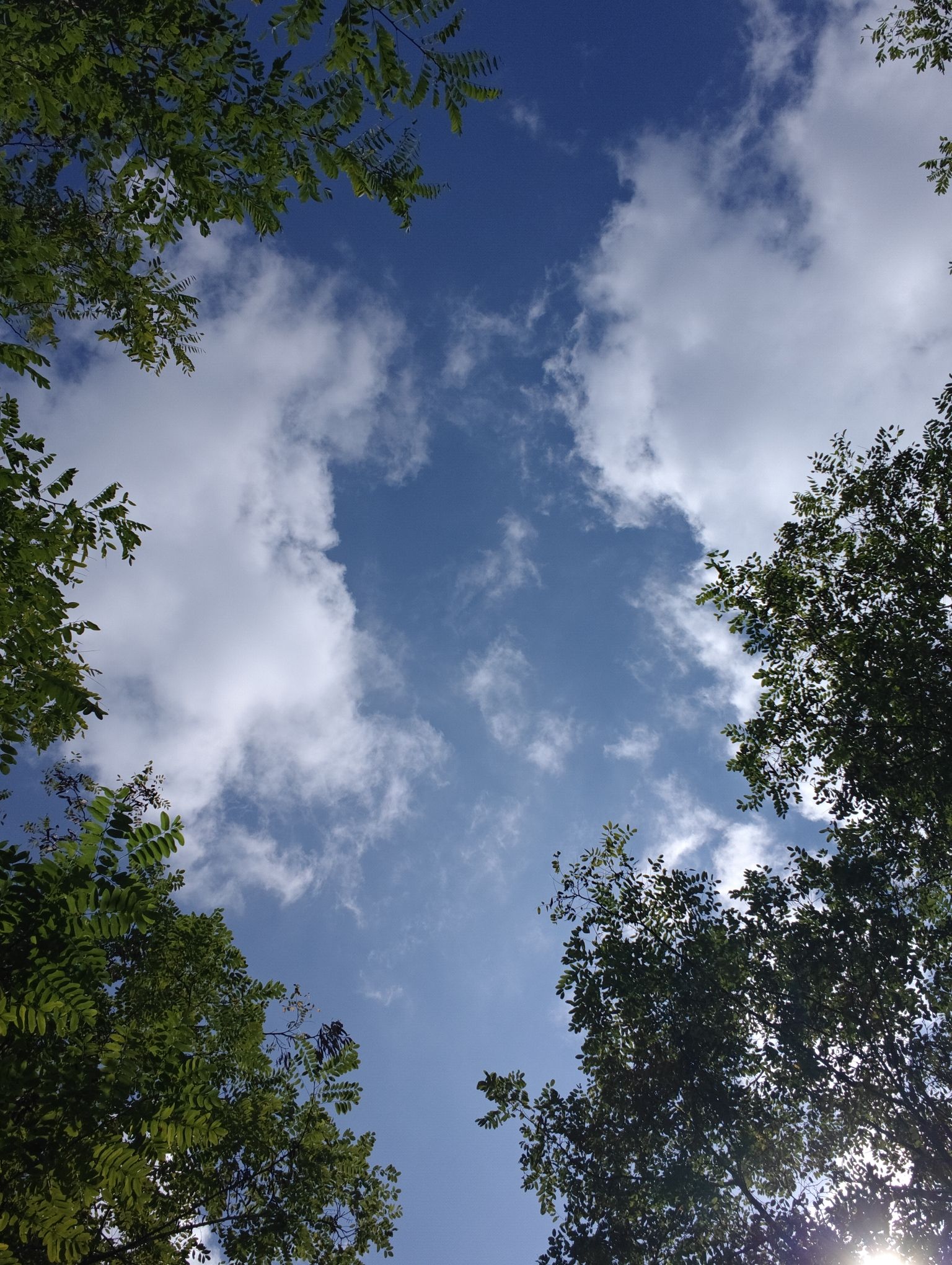 红星海滨海公园旅行图片 2