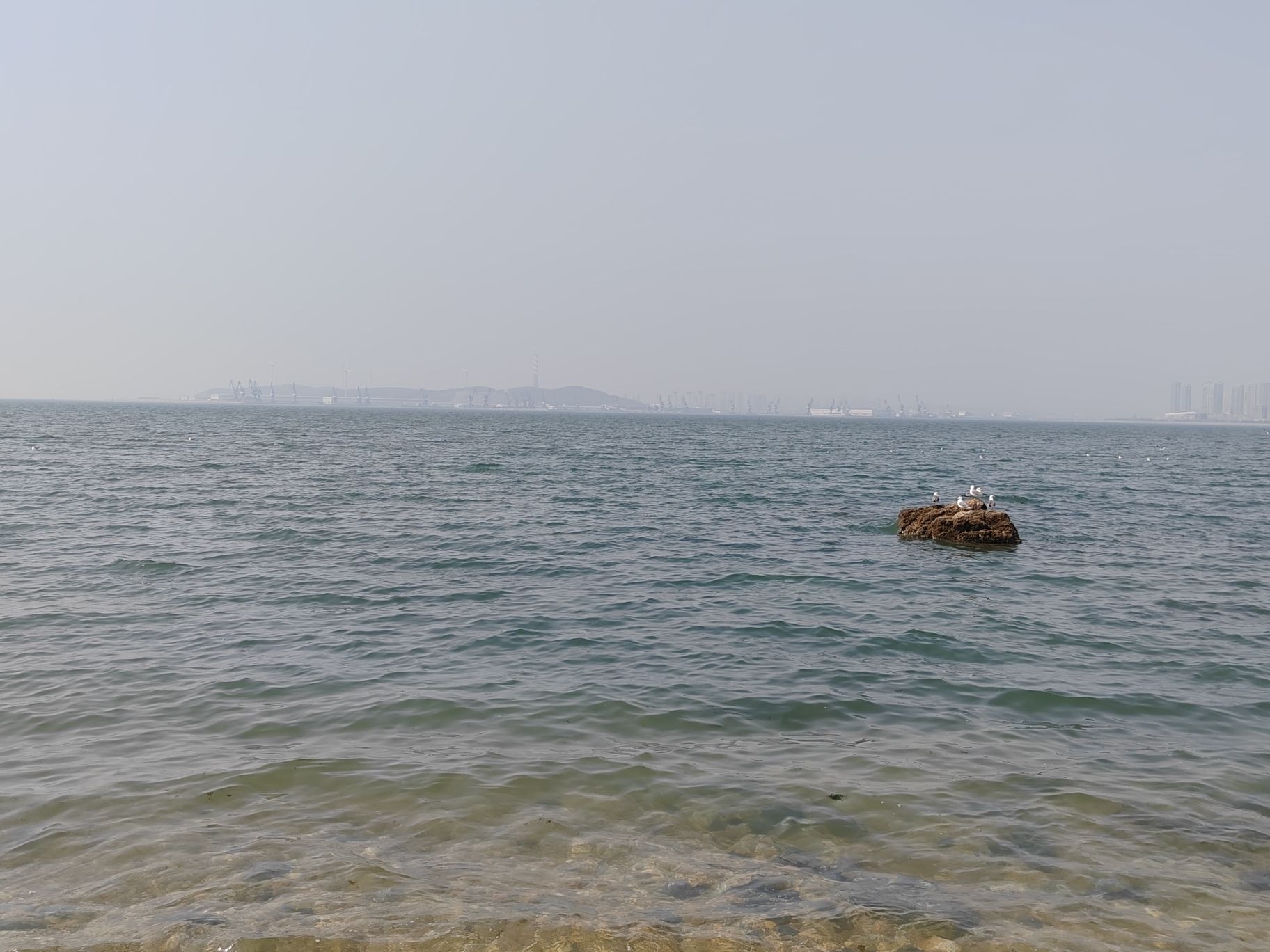 红星海滨海公园旅行图片 2