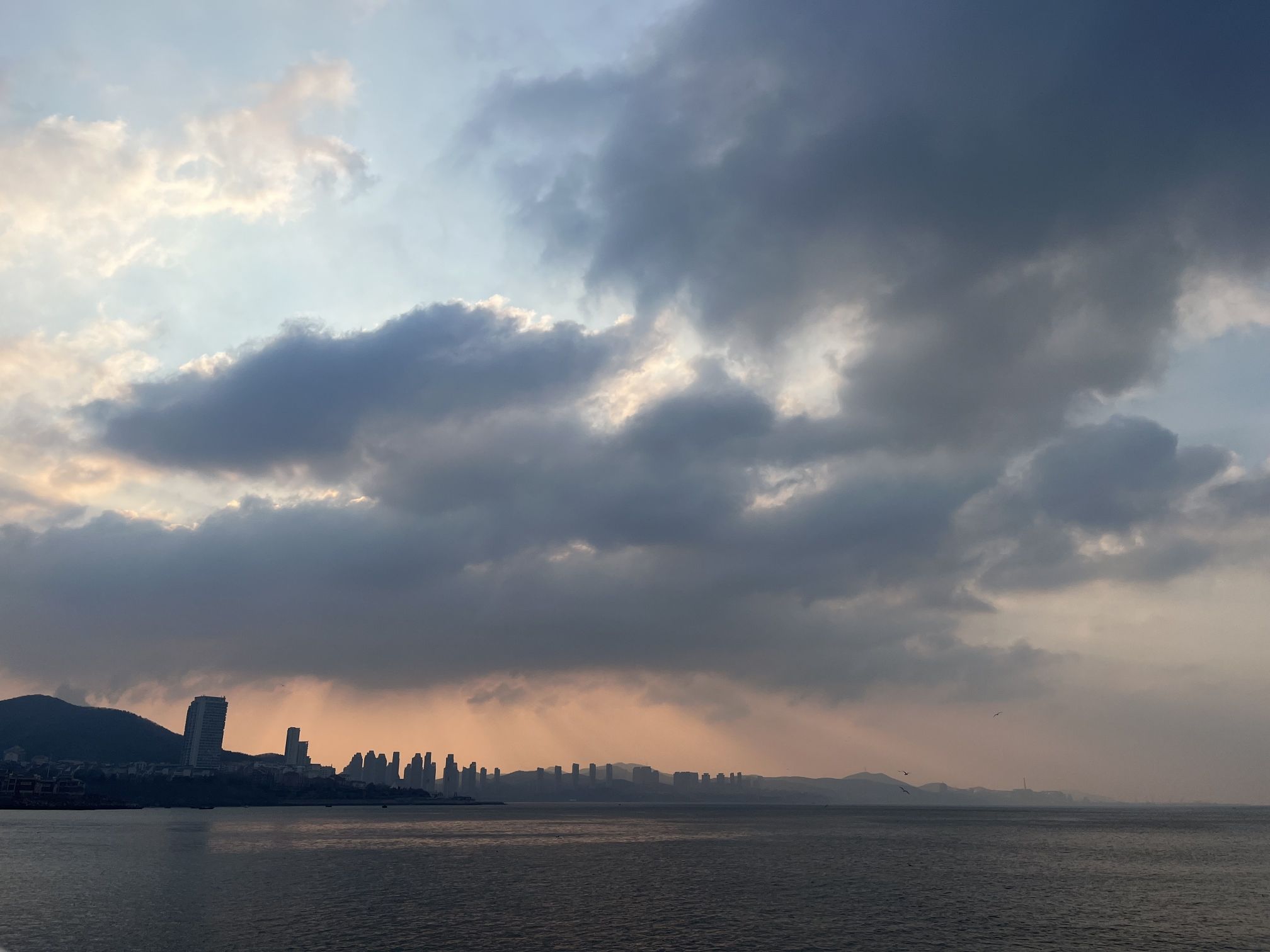 红星海滨海公园旅行图片 3