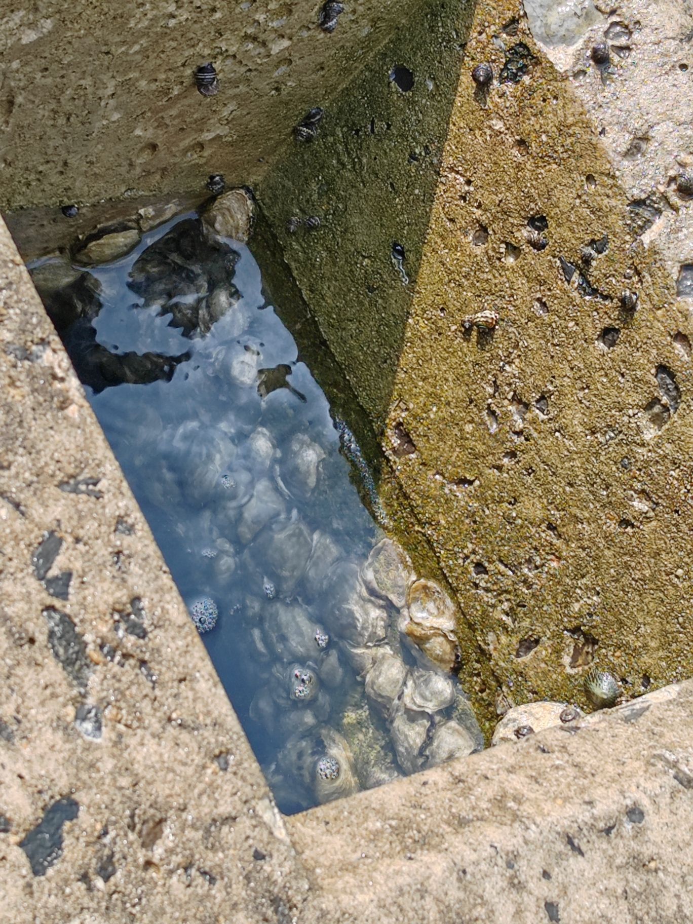 红星海滨海公园旅行图片 1
