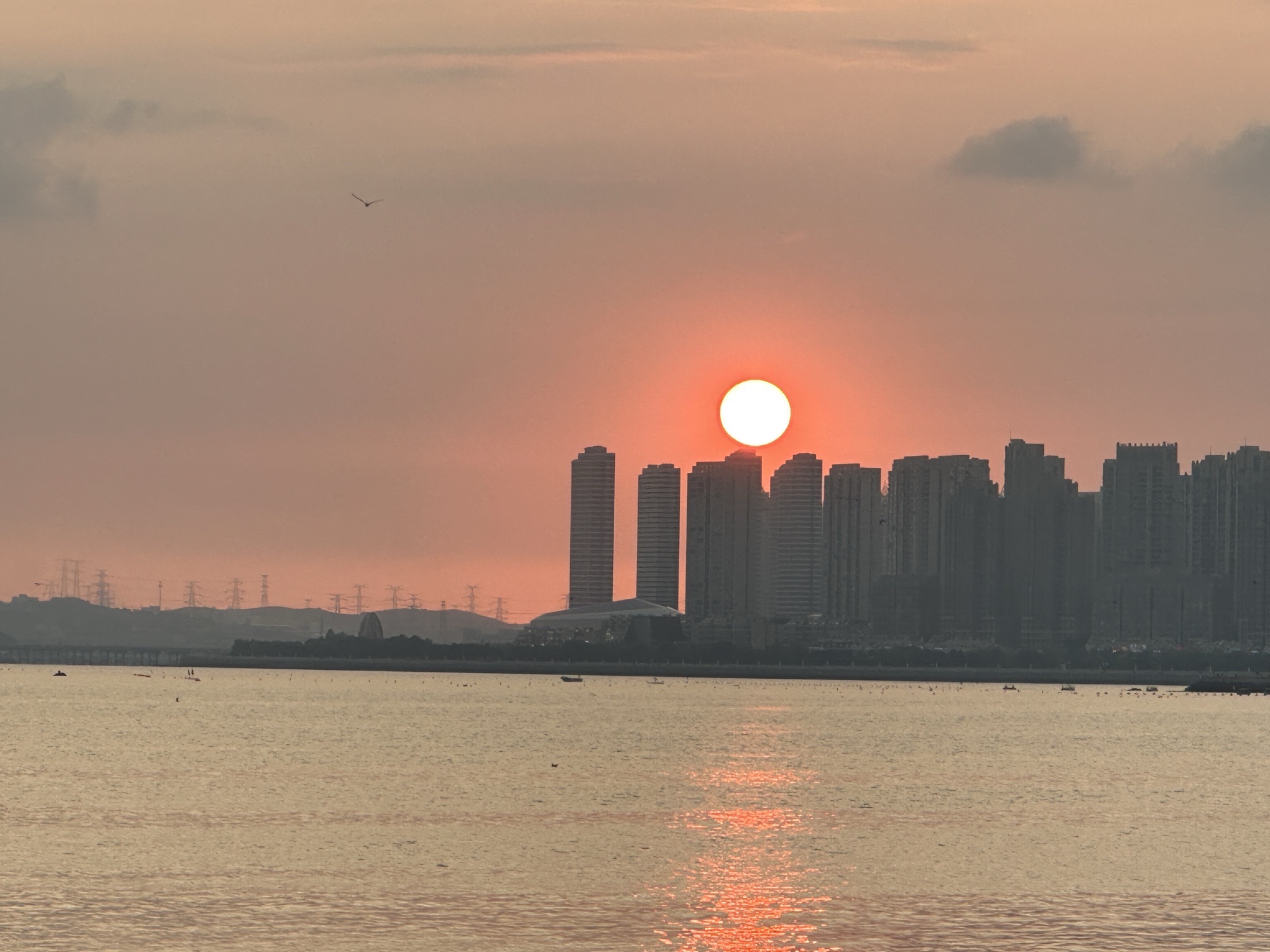 红星海滨海公园旅行图片 2