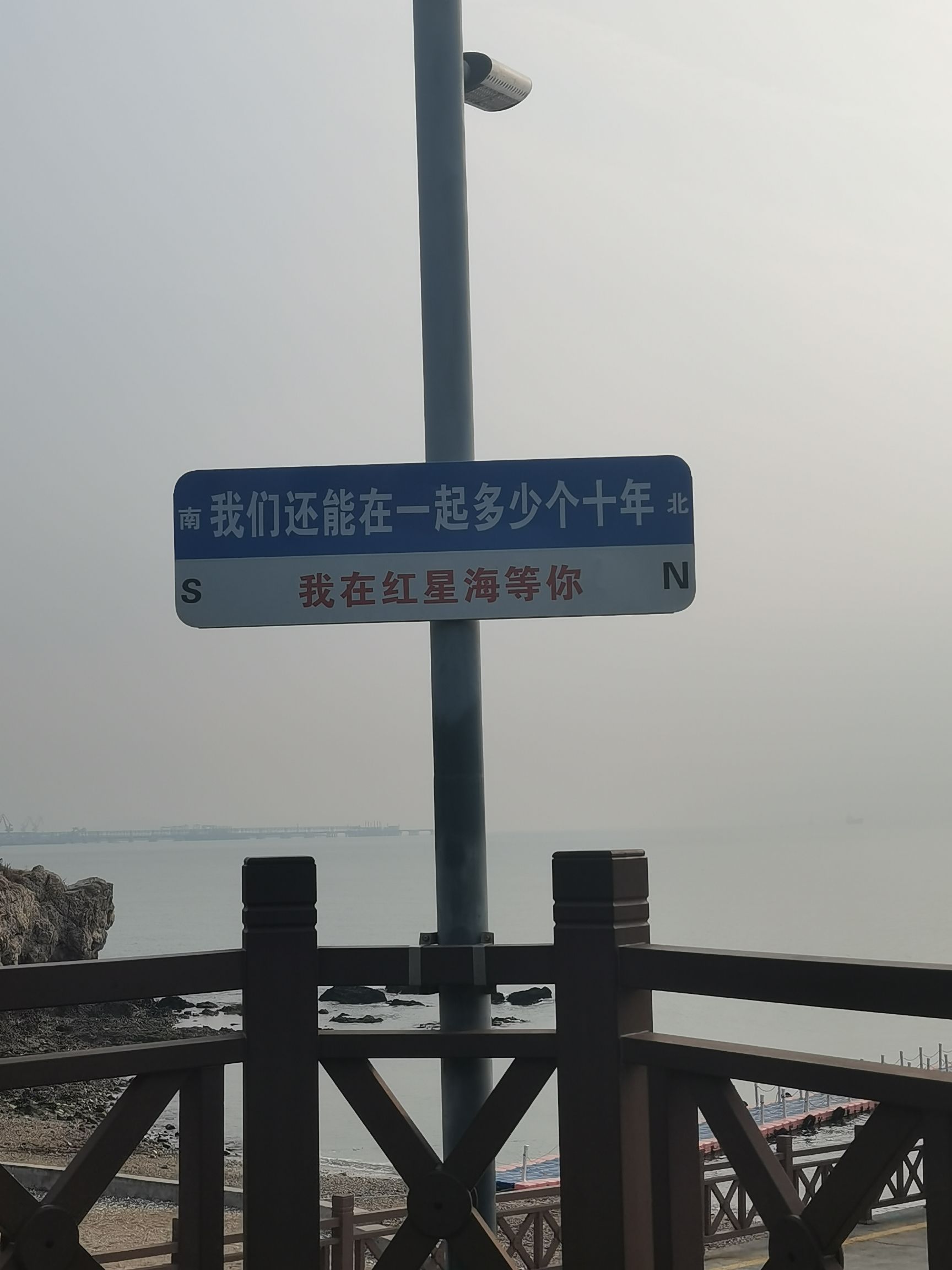 红星海滨海公园旅行图片 1
