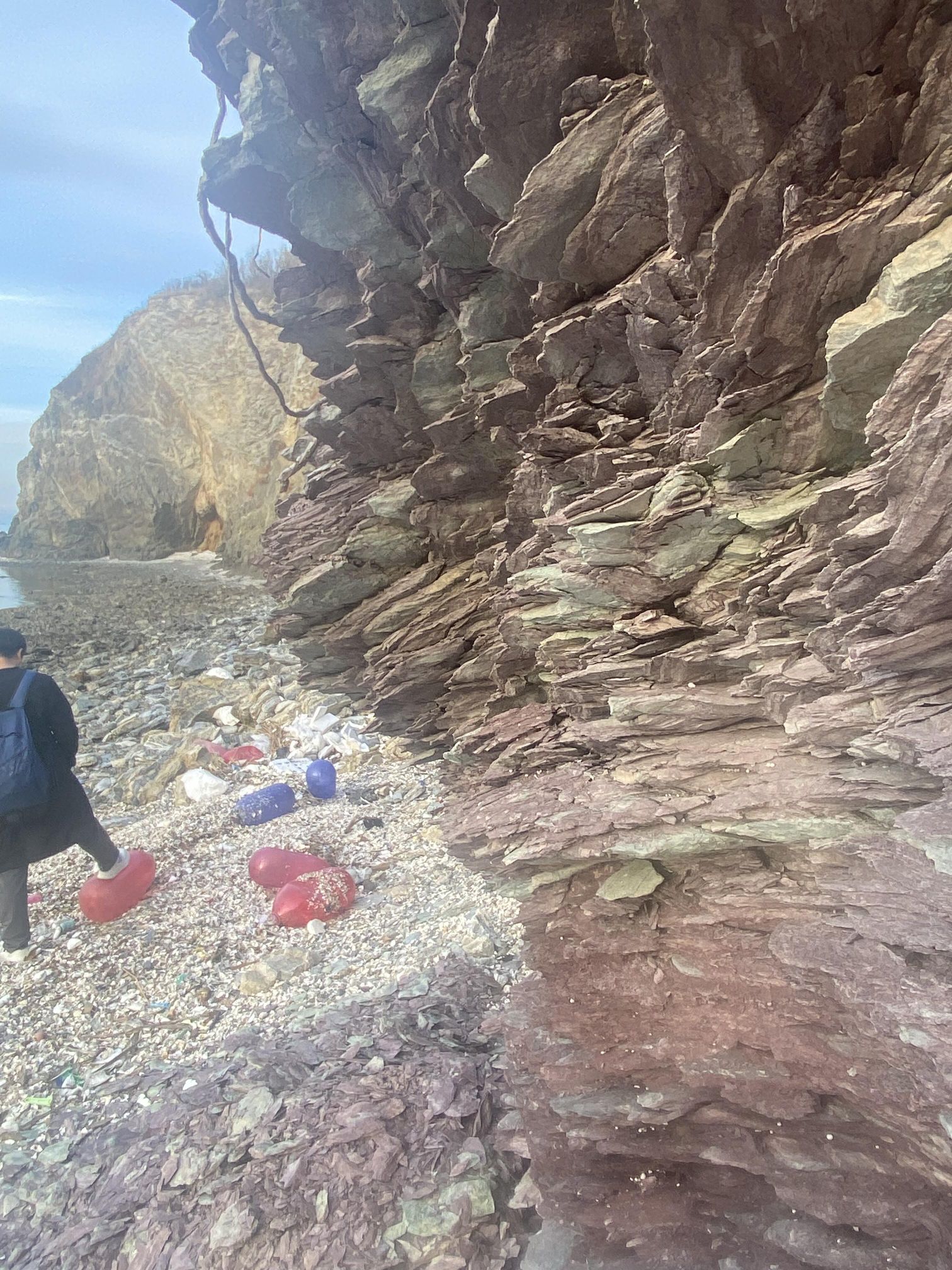 红星海滨海公园旅行图片 2