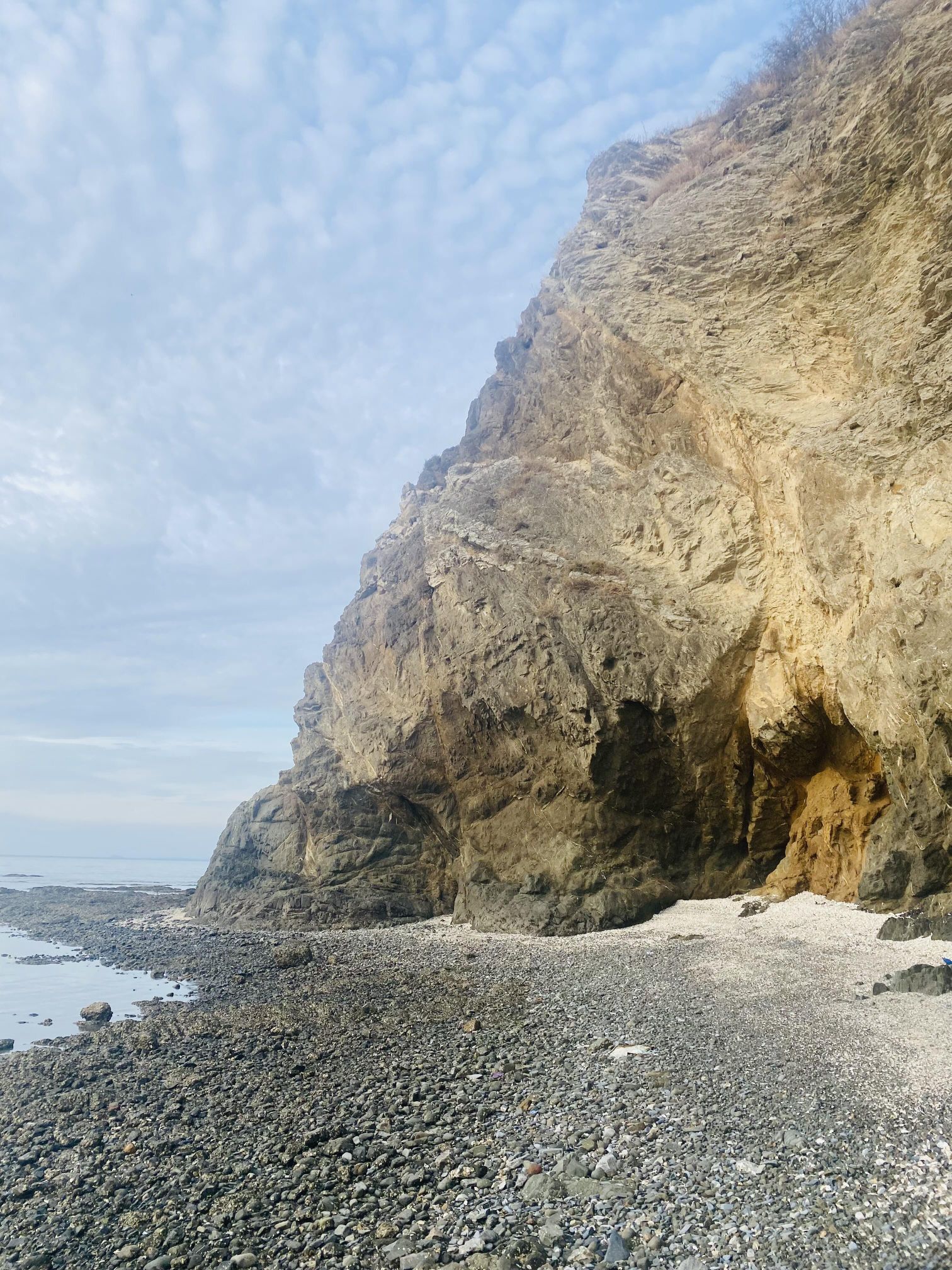 红星海滨海公园旅行图片 3