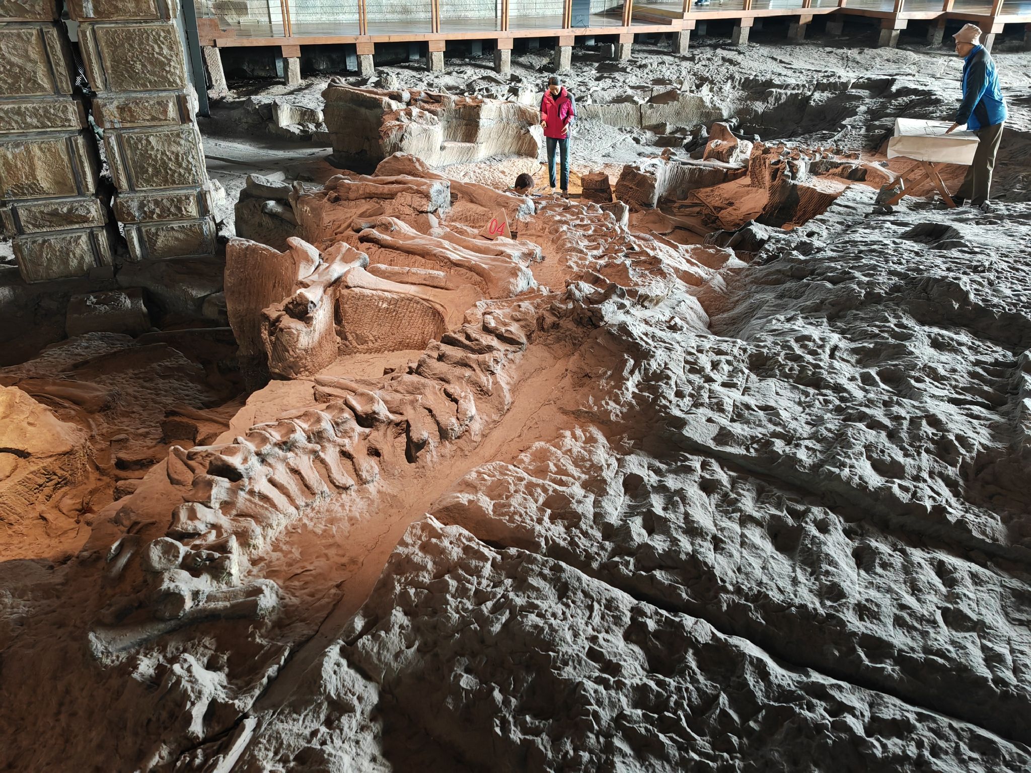 恐龙遗址(建设中)旅行图片 3