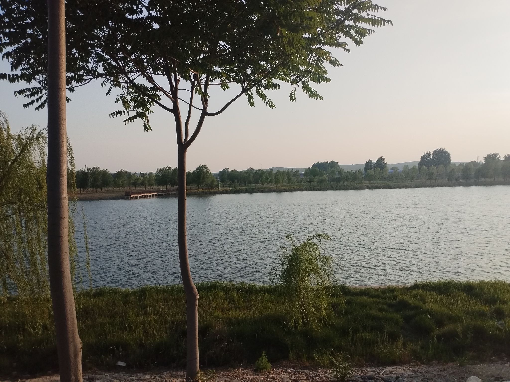 泜河公园旅行图片 3