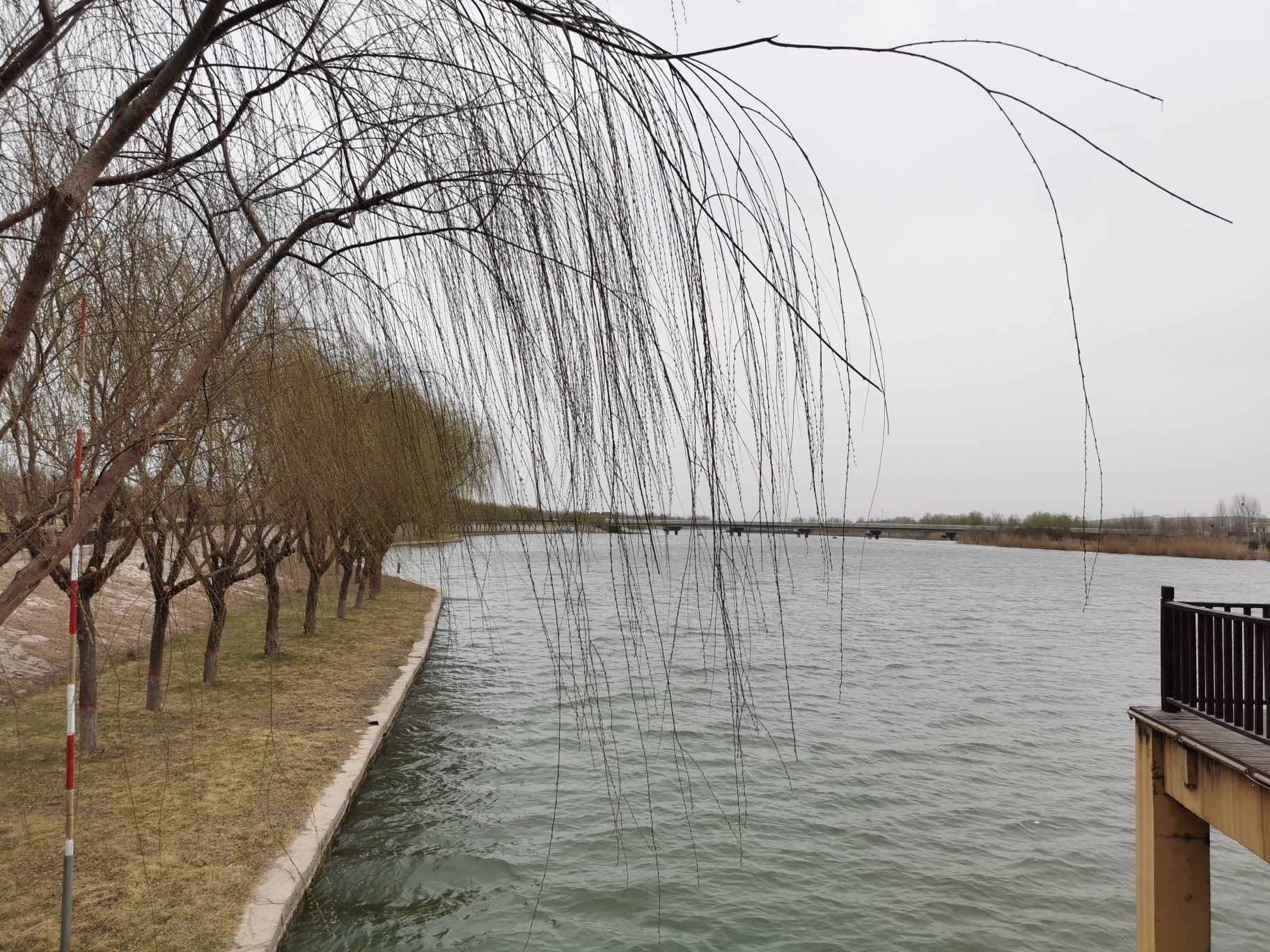 泜河公园旅行图片 1