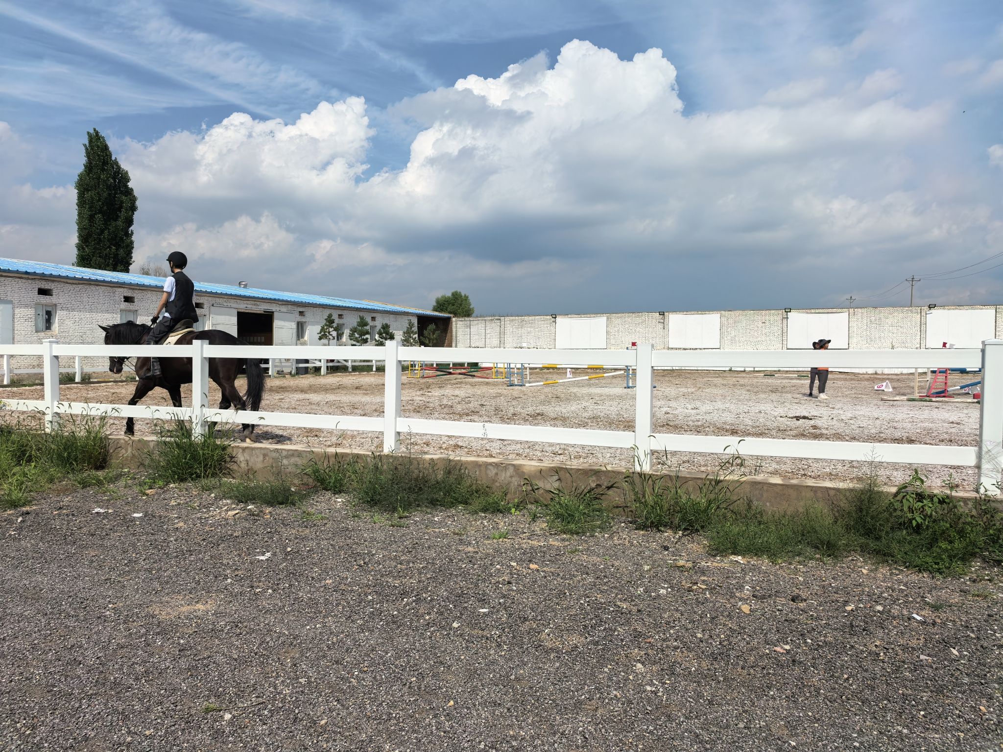 大同魏博竞技运动马房