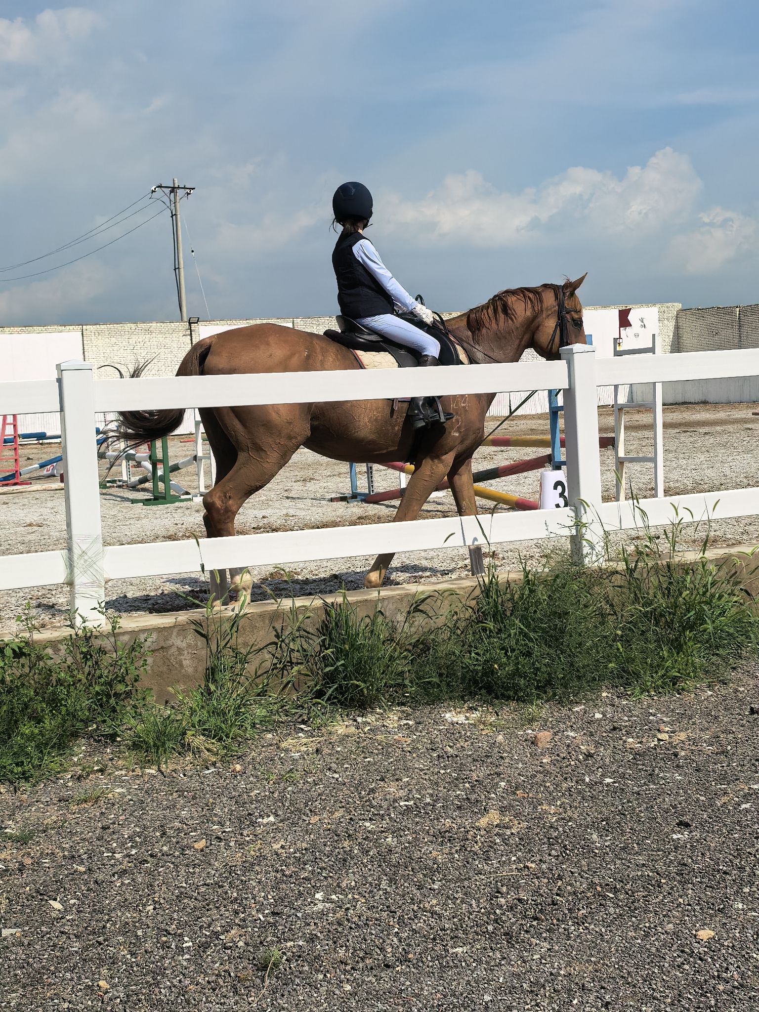 大同魏博竞技运动马房