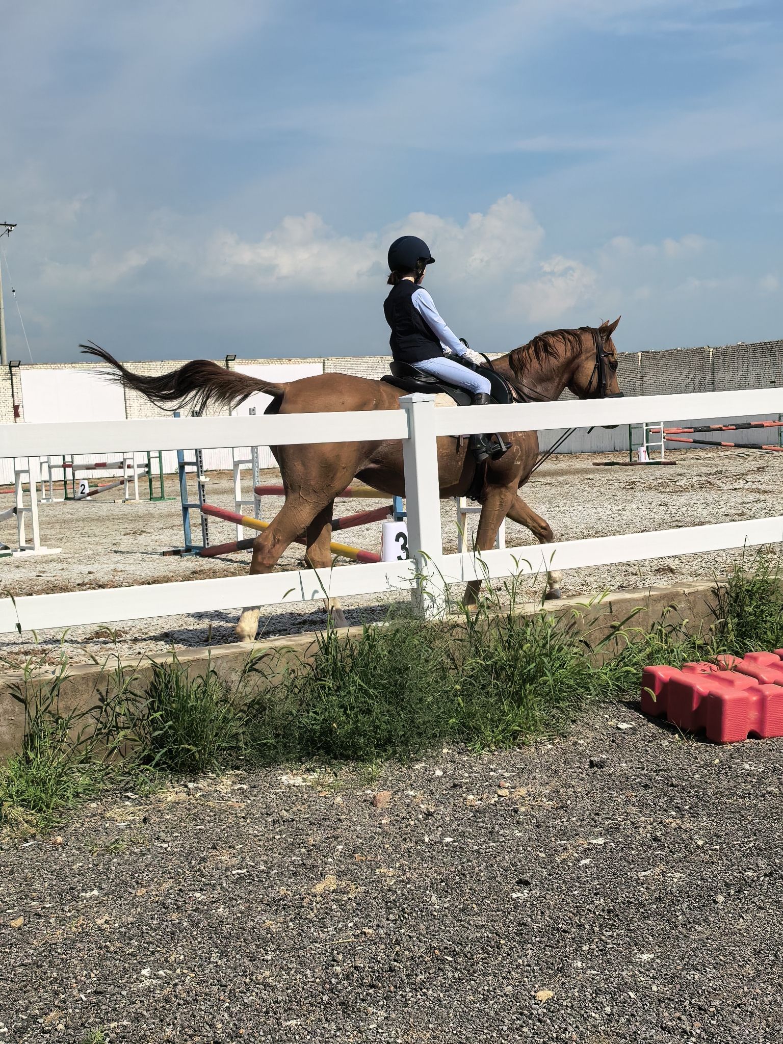 大同魏博竞技运动马房