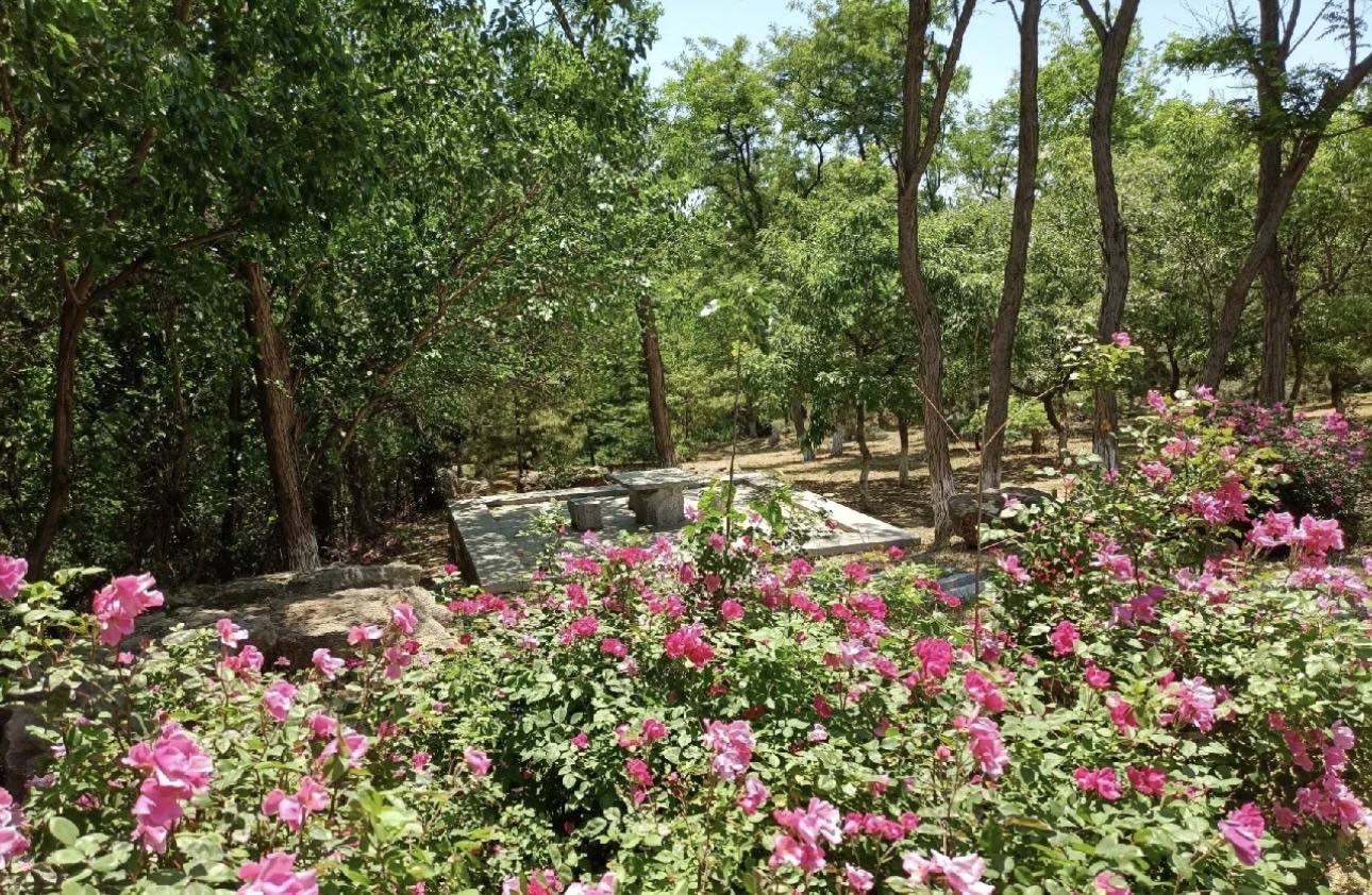 沁水河口国家湿地公园旅行图片 2