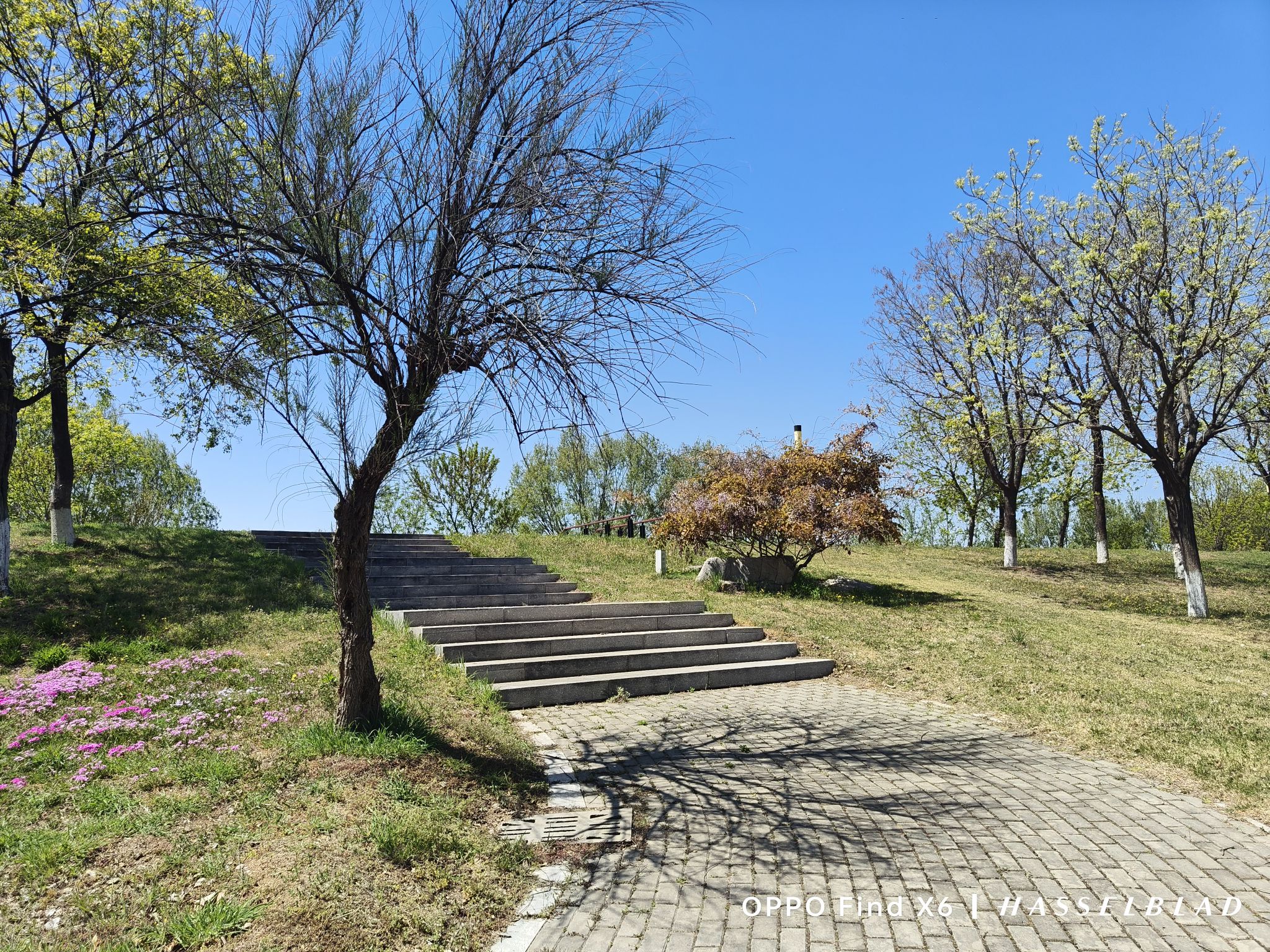 沁水河口国家湿地公园旅行图片 1