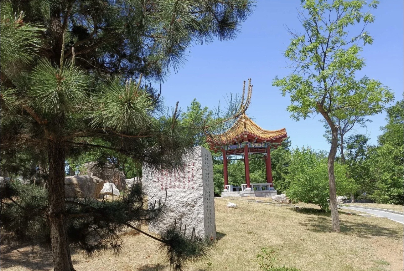 沁水河口国家湿地公园旅行图片 1