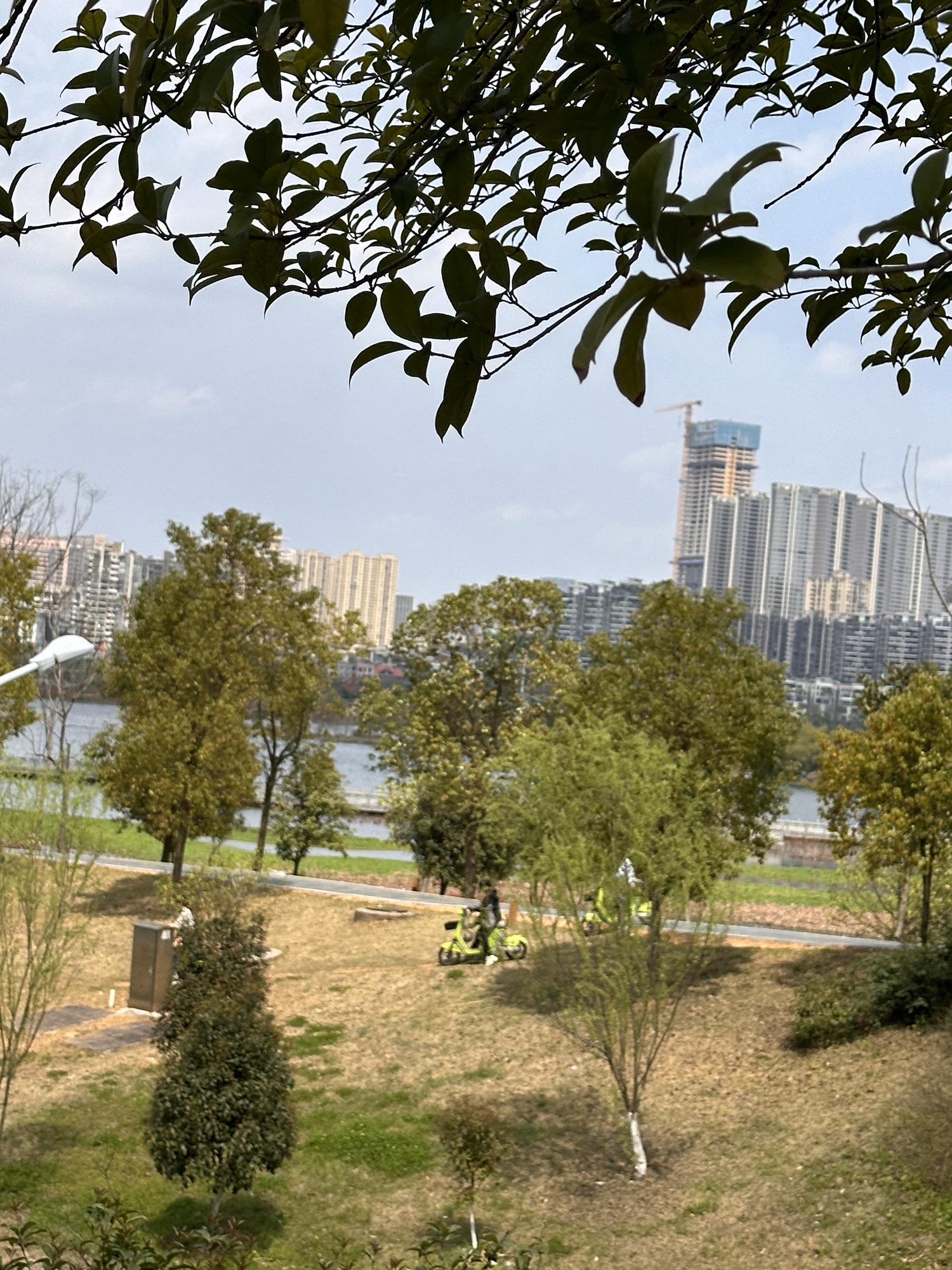 咸嘉湖景区旅行图片 2
