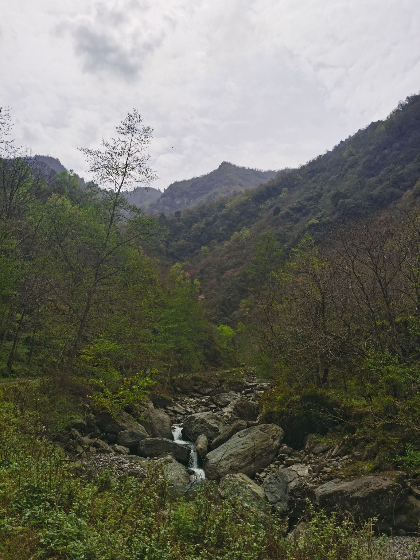 平武县关坝沟流域自然保护小区旅行图片 2