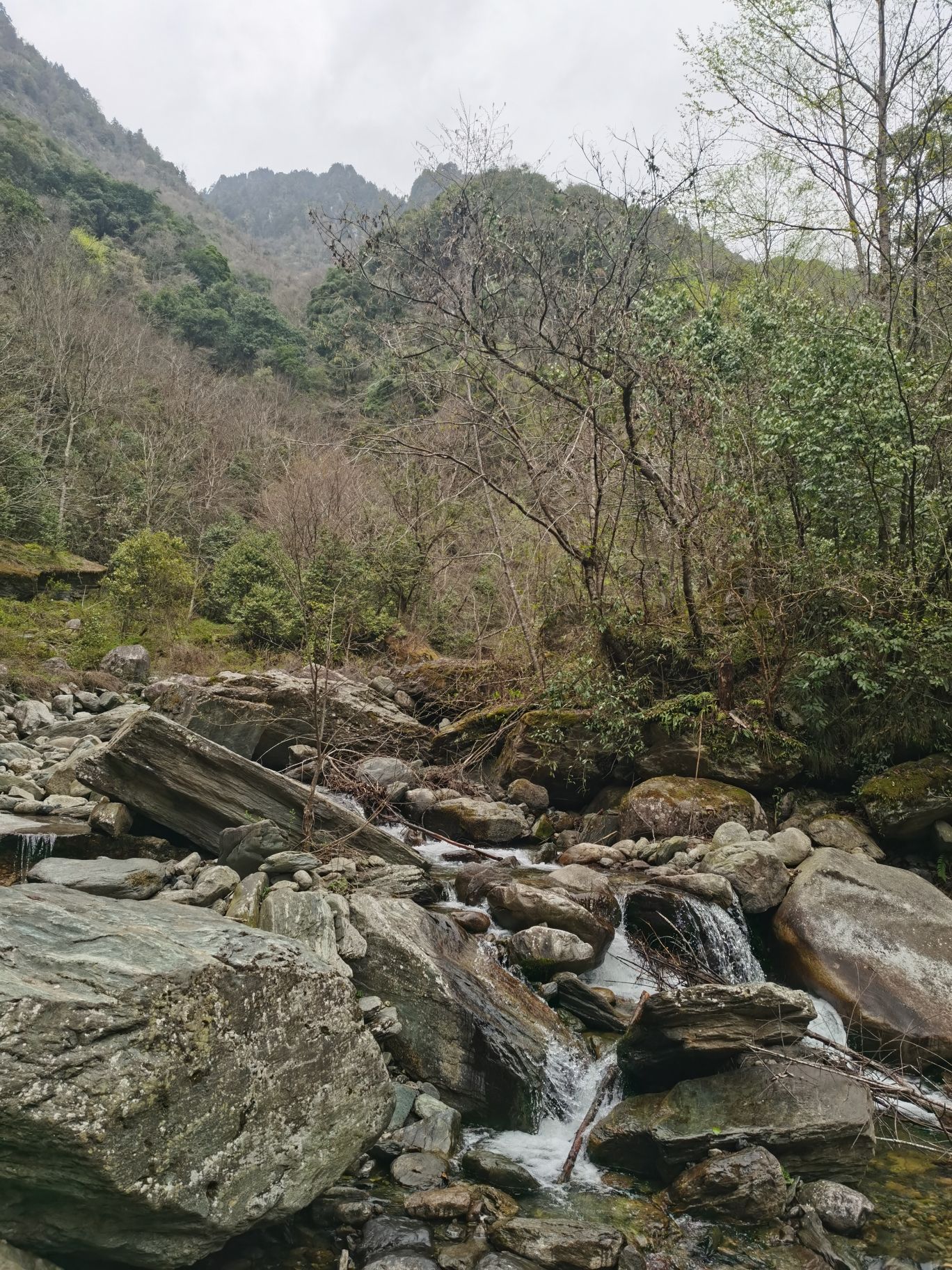 平武县关坝沟流域自然保护小区旅行图片 3