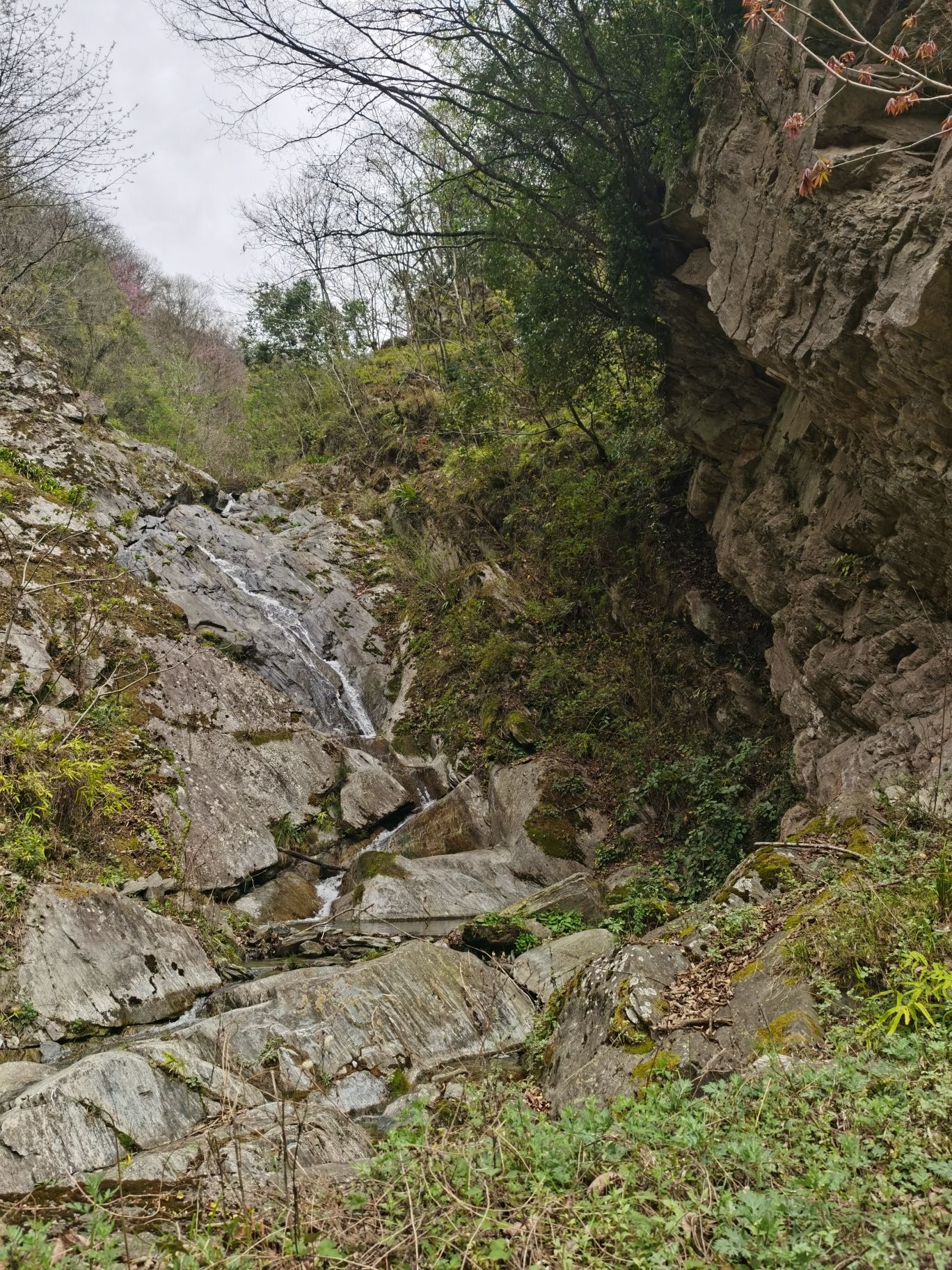 平武县关坝沟流域自然保护小区旅行图片 1