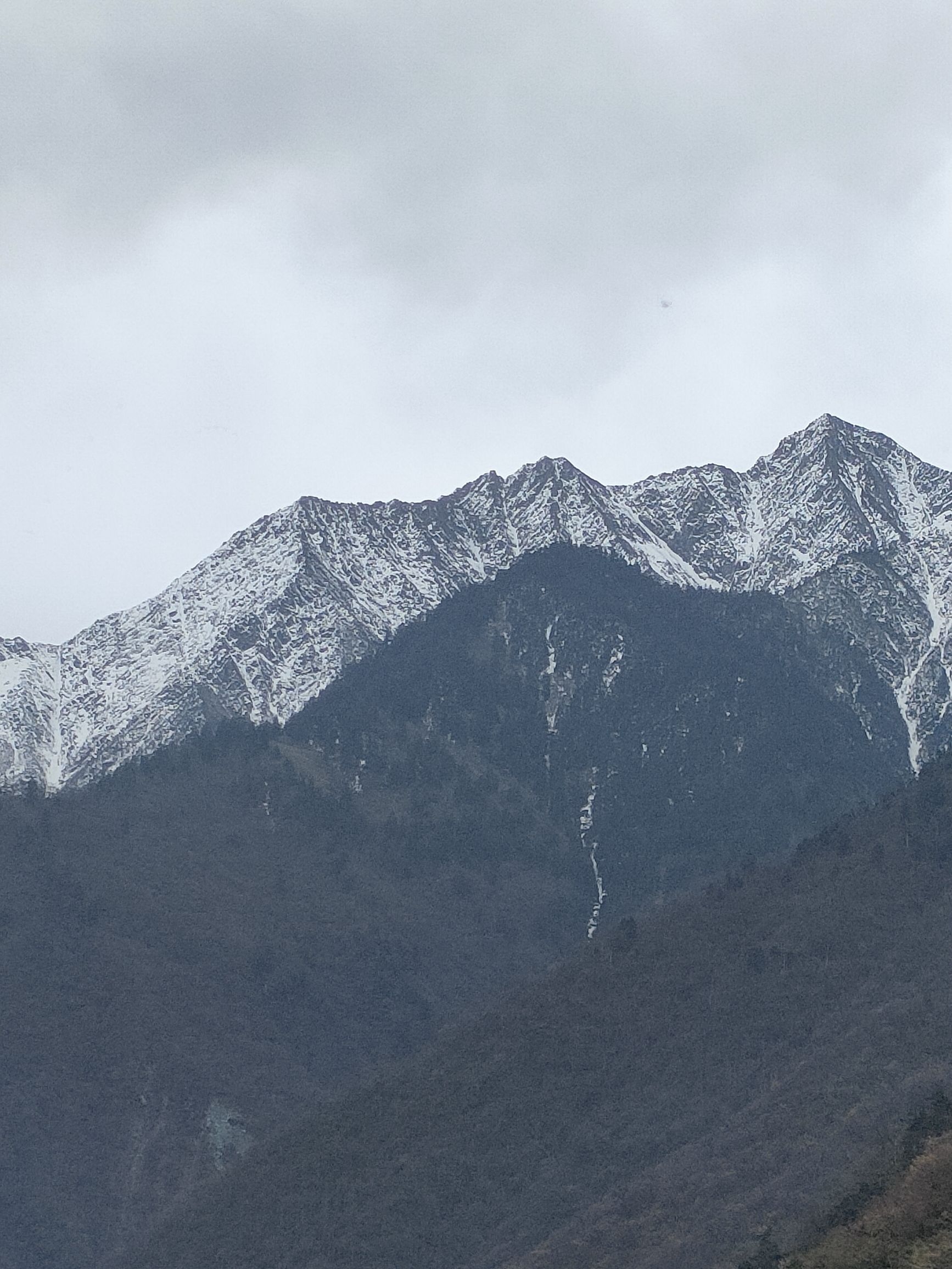 平武县关坝沟流域自然保护小区旅行图片 1
