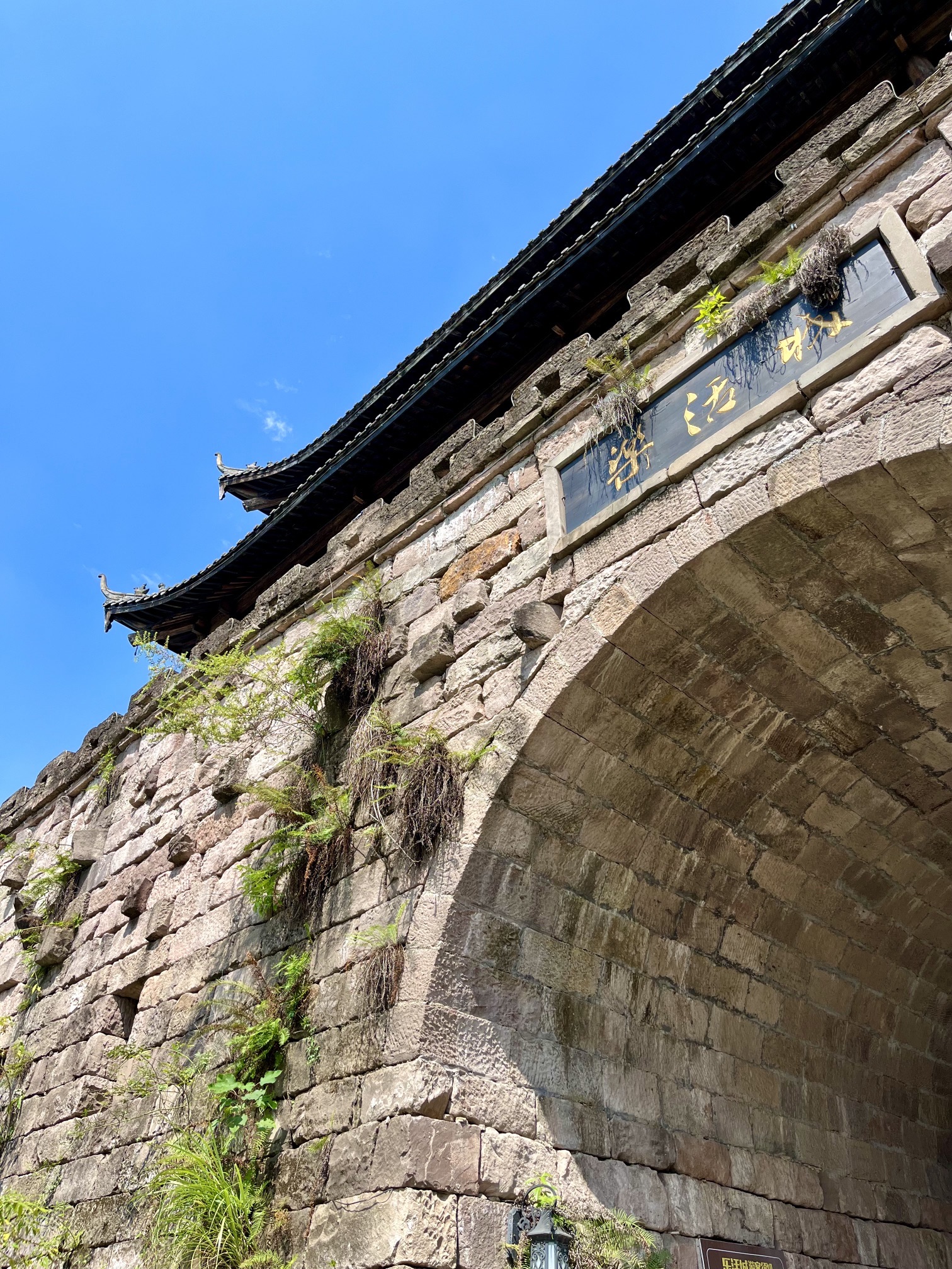乐活城旅行图片 2
