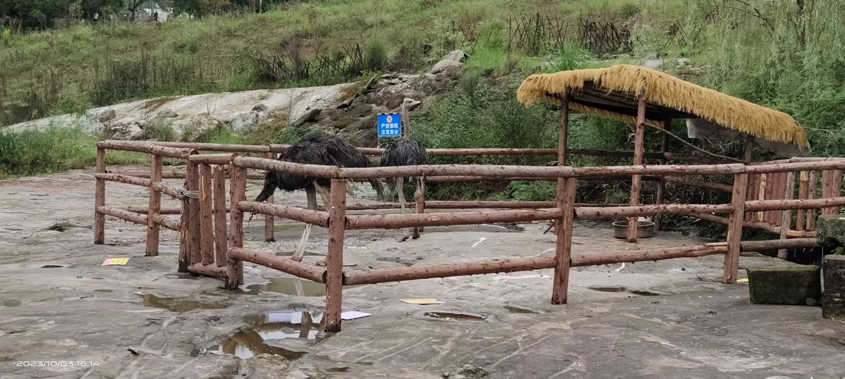 乐活城旅行图片 2