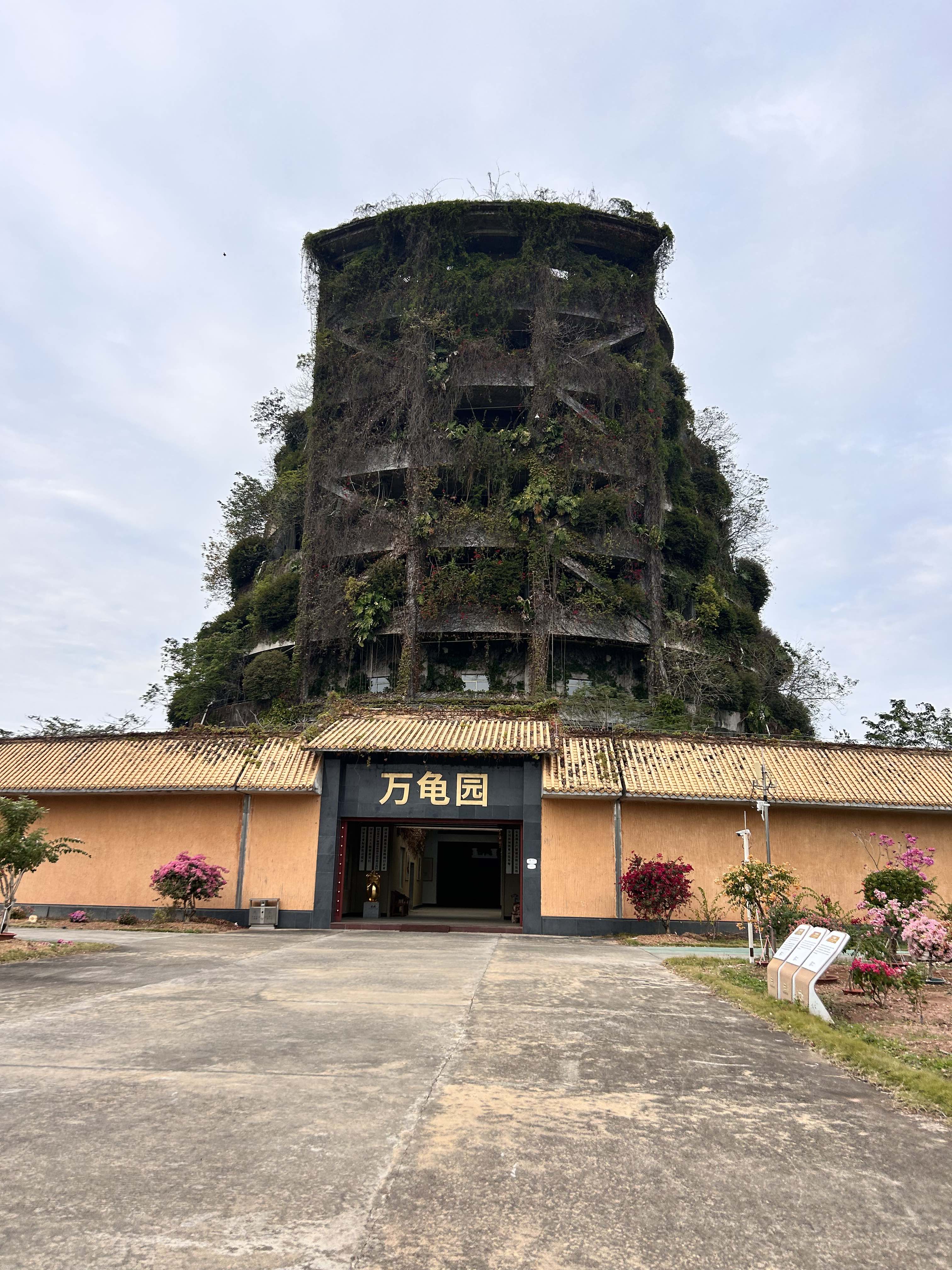 惠州李艺金钱龟生态园旅行图片 2