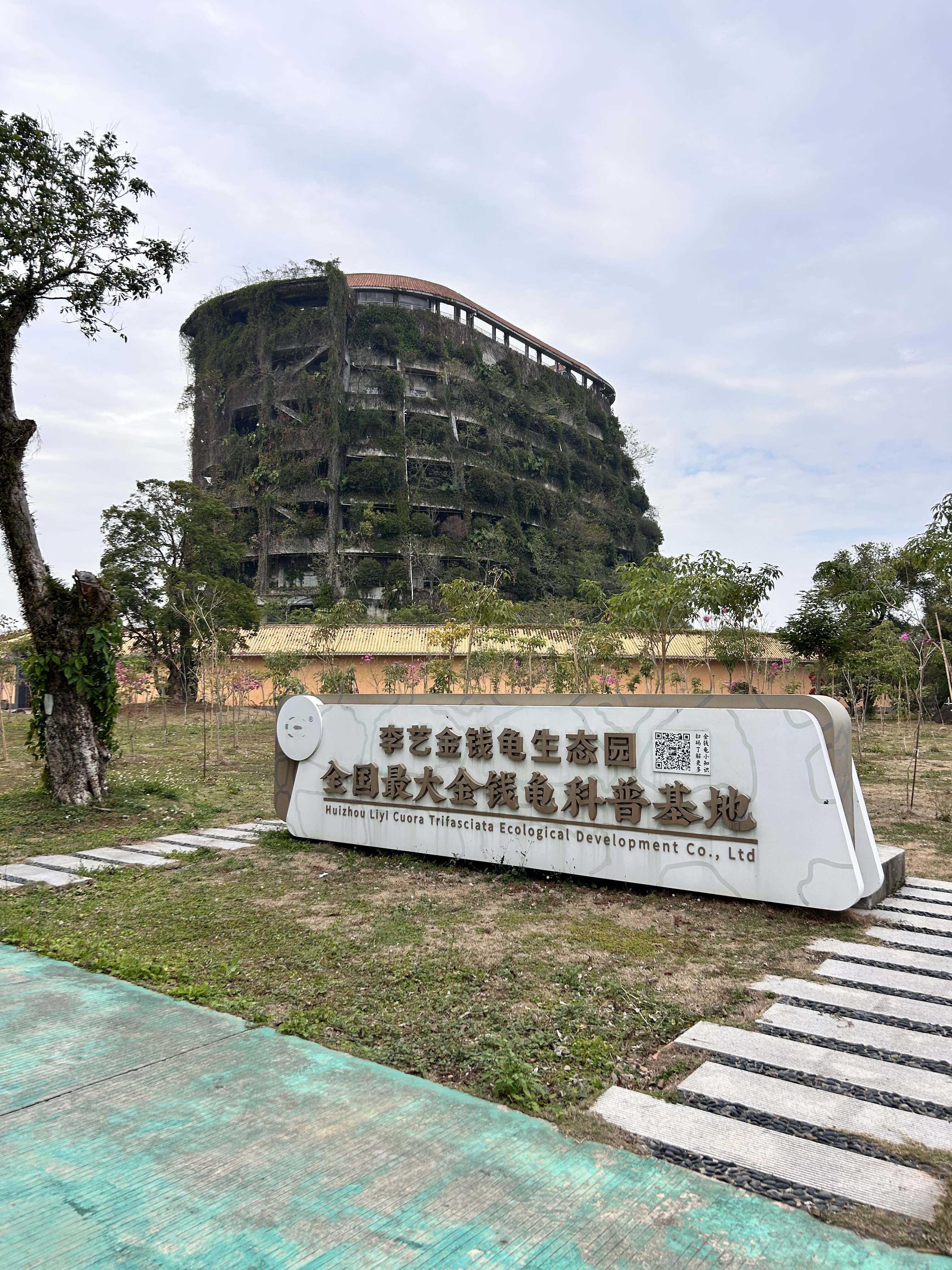 惠州李艺金钱龟生态园旅行图片 1