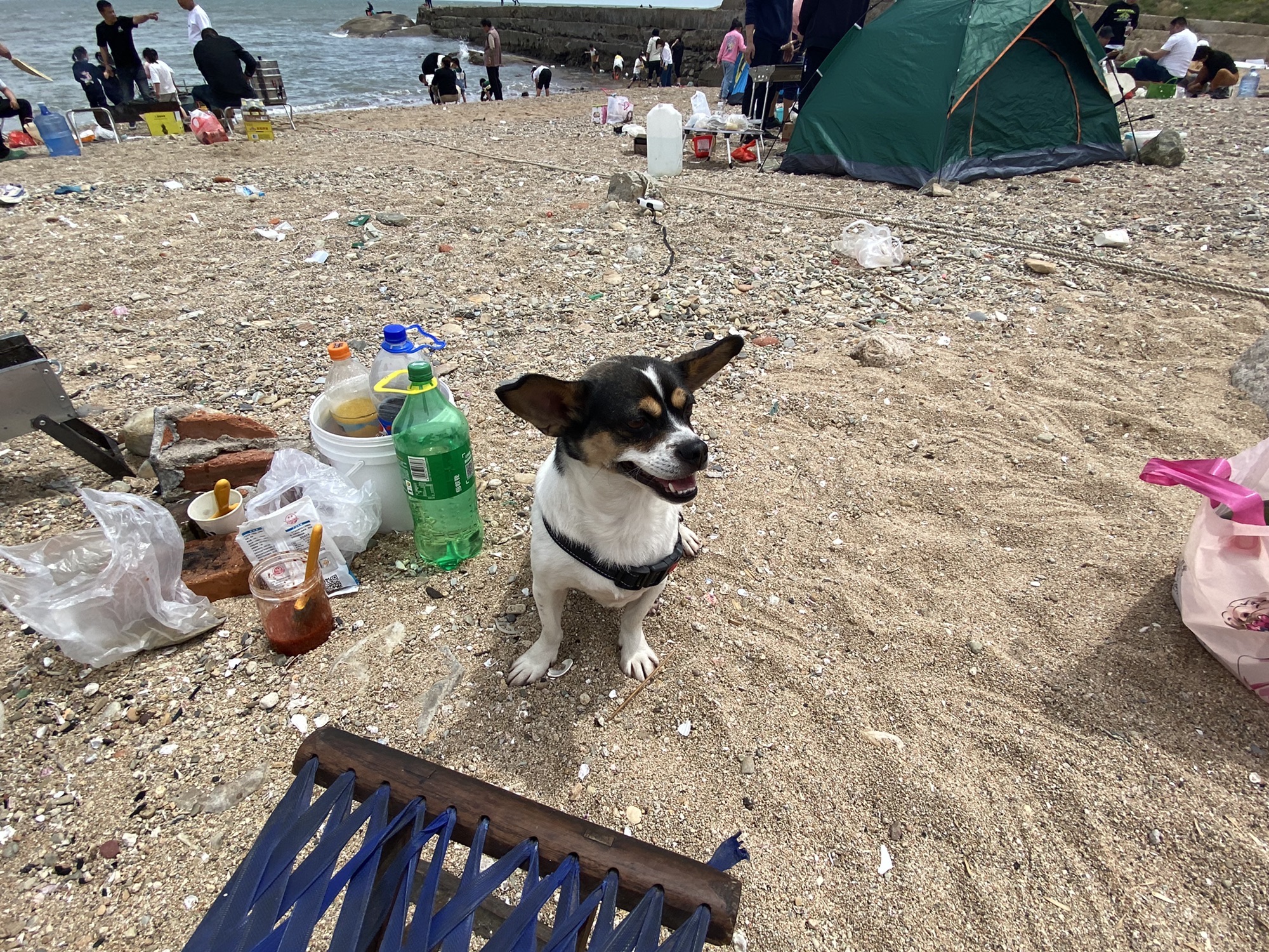 新颖海滩旅行图片 3