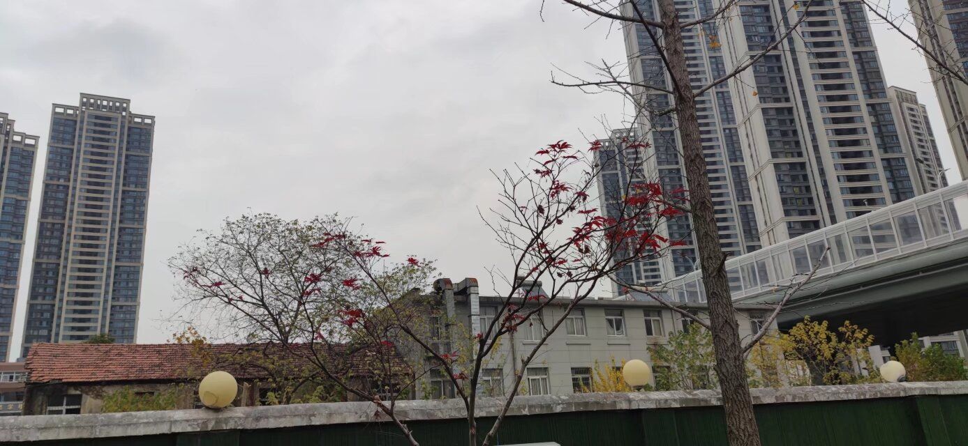 姑嫂树游园旅行图片 3
